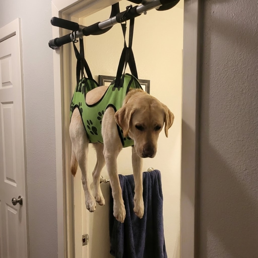 Pet Parent Confessions Facebook ad: Read if Your Dog Hates Nail Trims