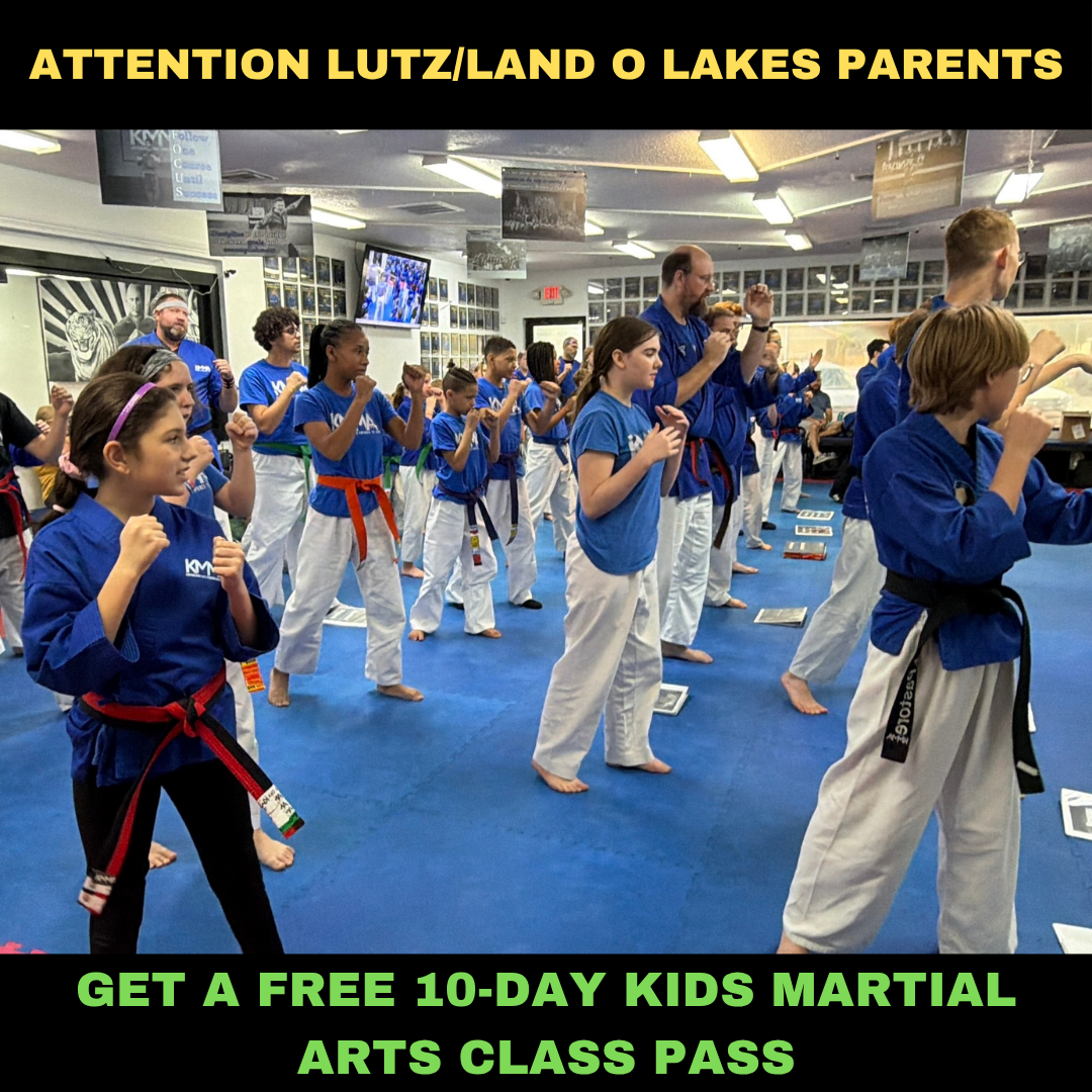 Krav Maga Martial Arts Facebook ad: Want a FREE 10-Day, Kids Martial Arts Class Pass?