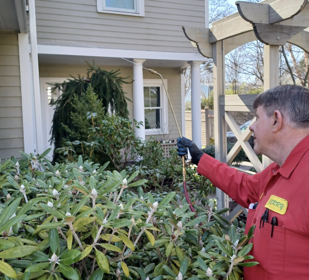 Rutland TurfCare and Pest Control Facebook ad: Trusted by Homeowners. Proven Results.