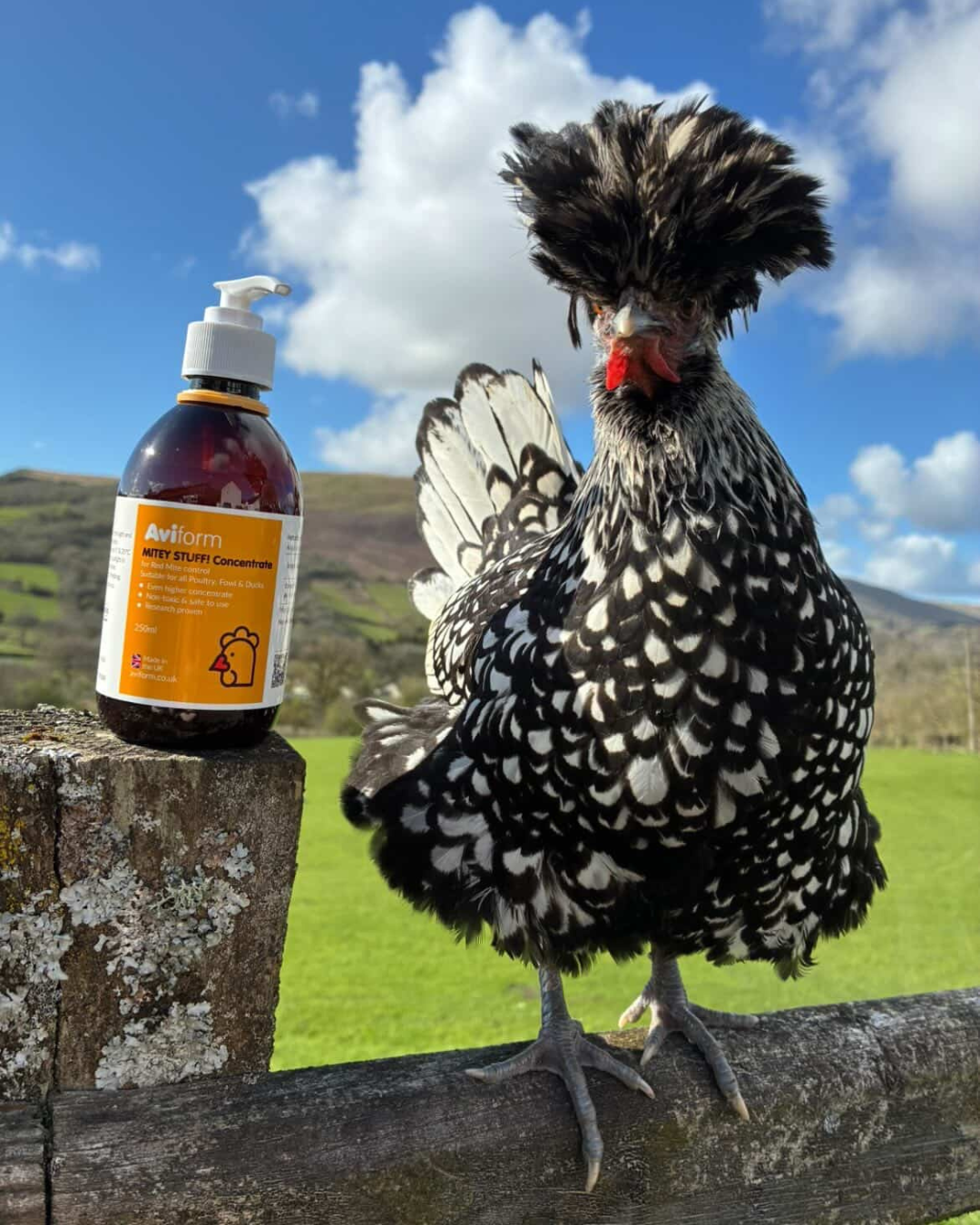 Aviform Nutrition UK - Avian Facebook ad from Apr 21, 2026