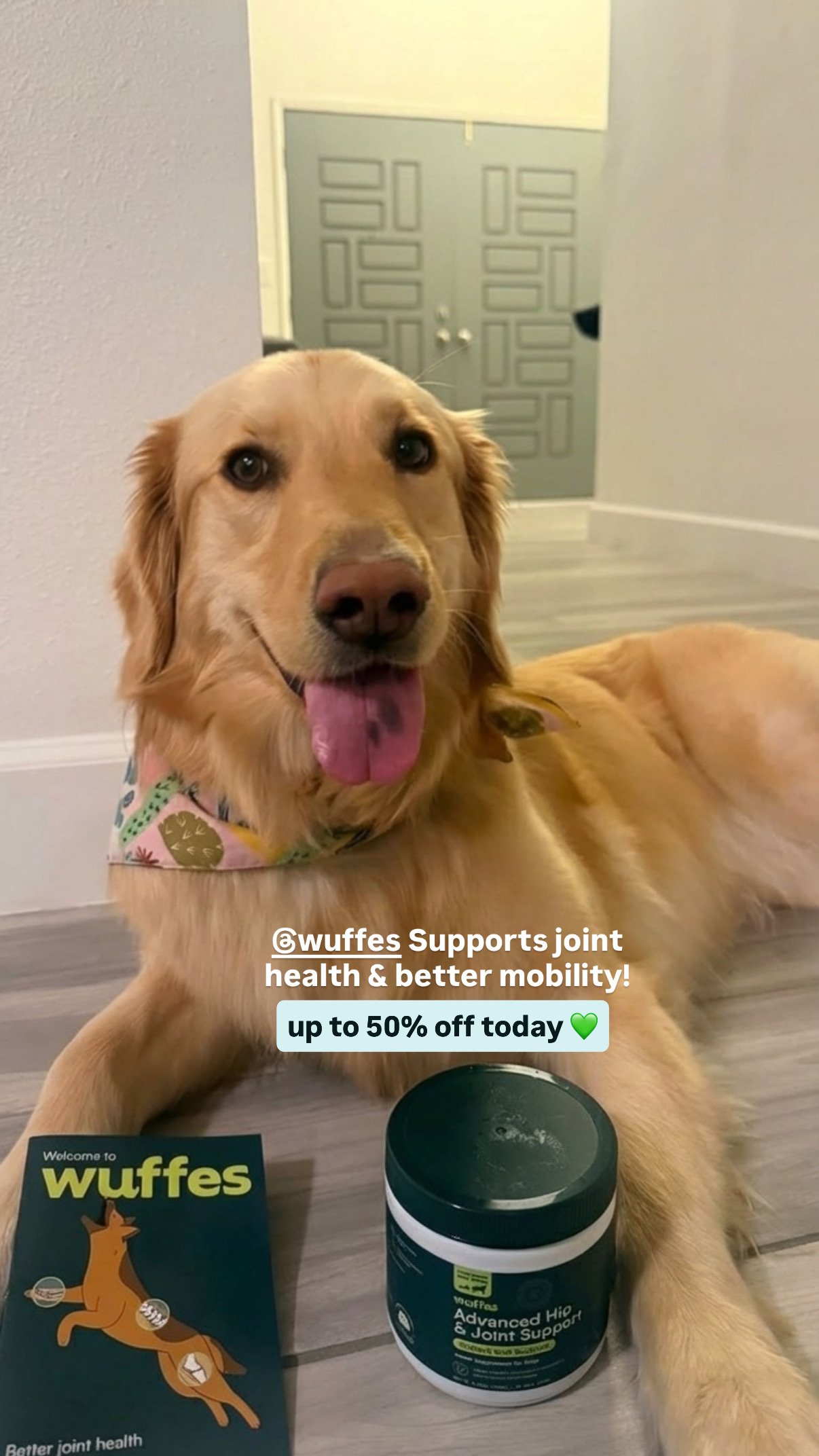 Wuffes Facebook ad