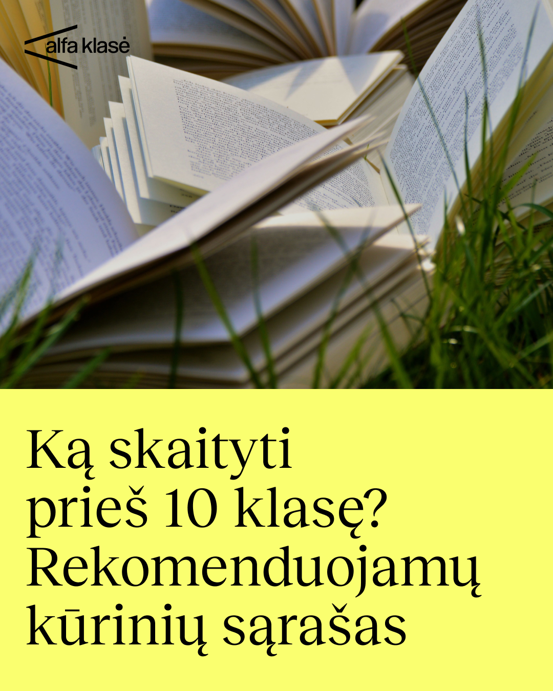 Alfa Klasė Facebook ad