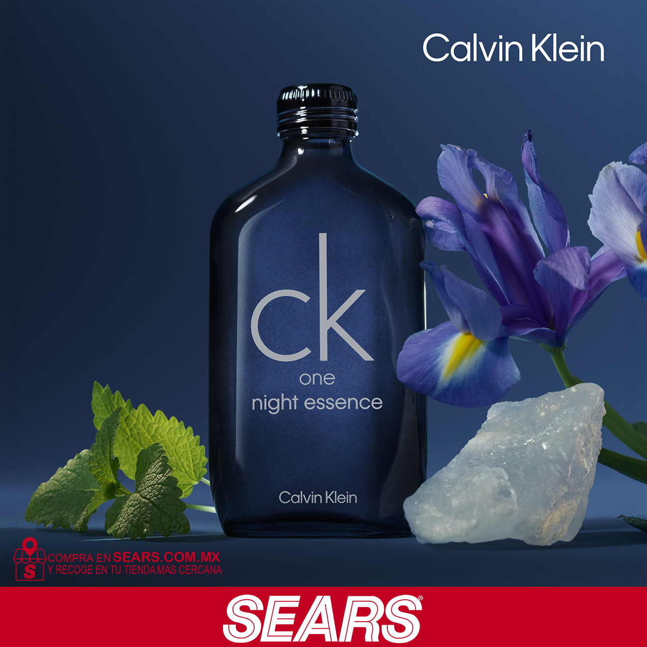 Sears México Facebook ad