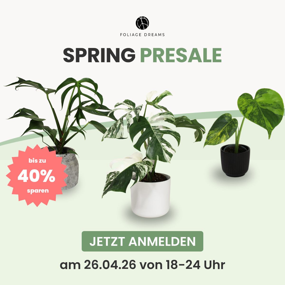 Foliage Dreams Facebook ad