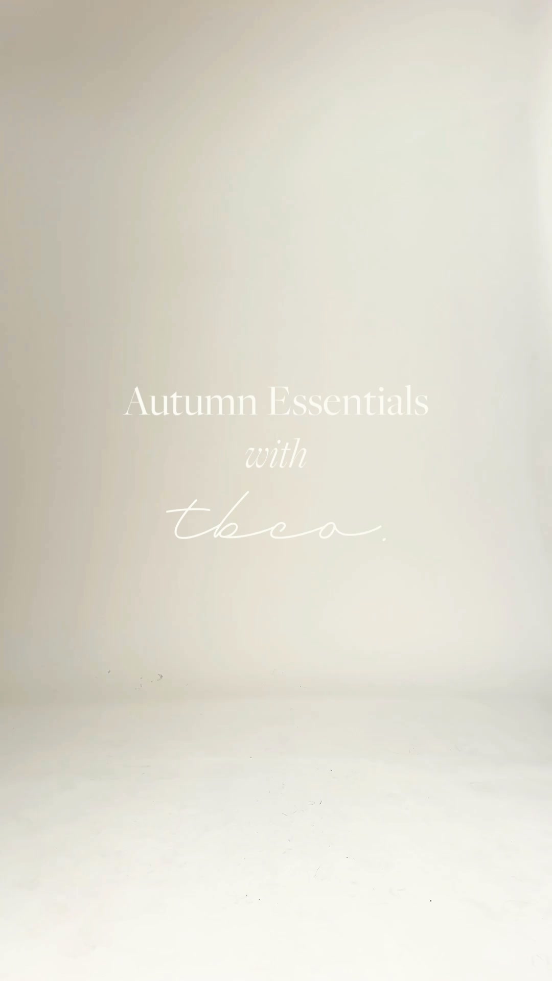 TBCo Facebook ad: Pre-Fall Accessories