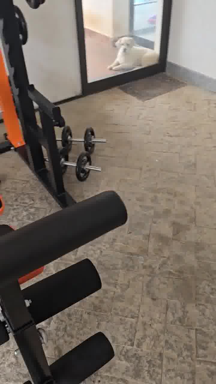 MEGAGYM Facebook ad: Faça agora seu orçamento com a MegaGym!