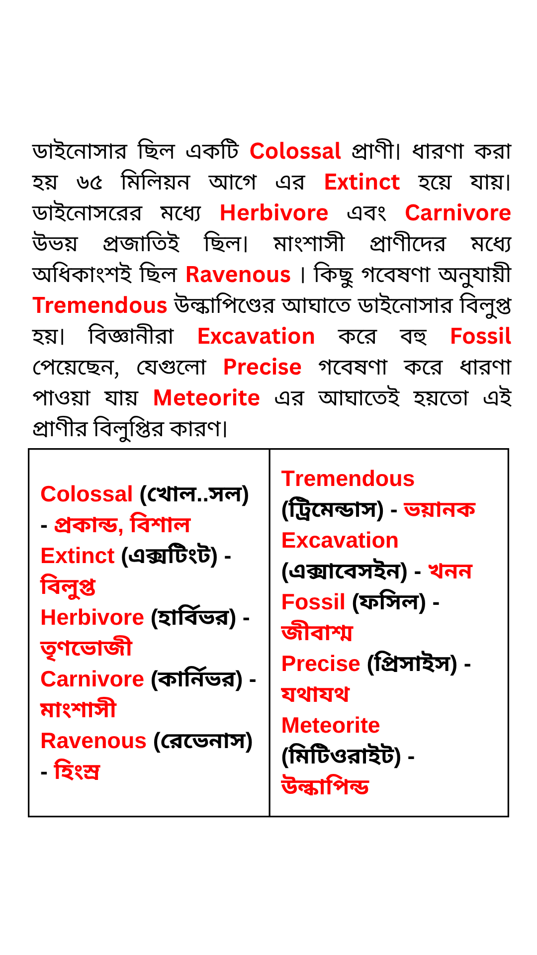 Vocabulary Trainer Facebook ad from Jul 8, 2026