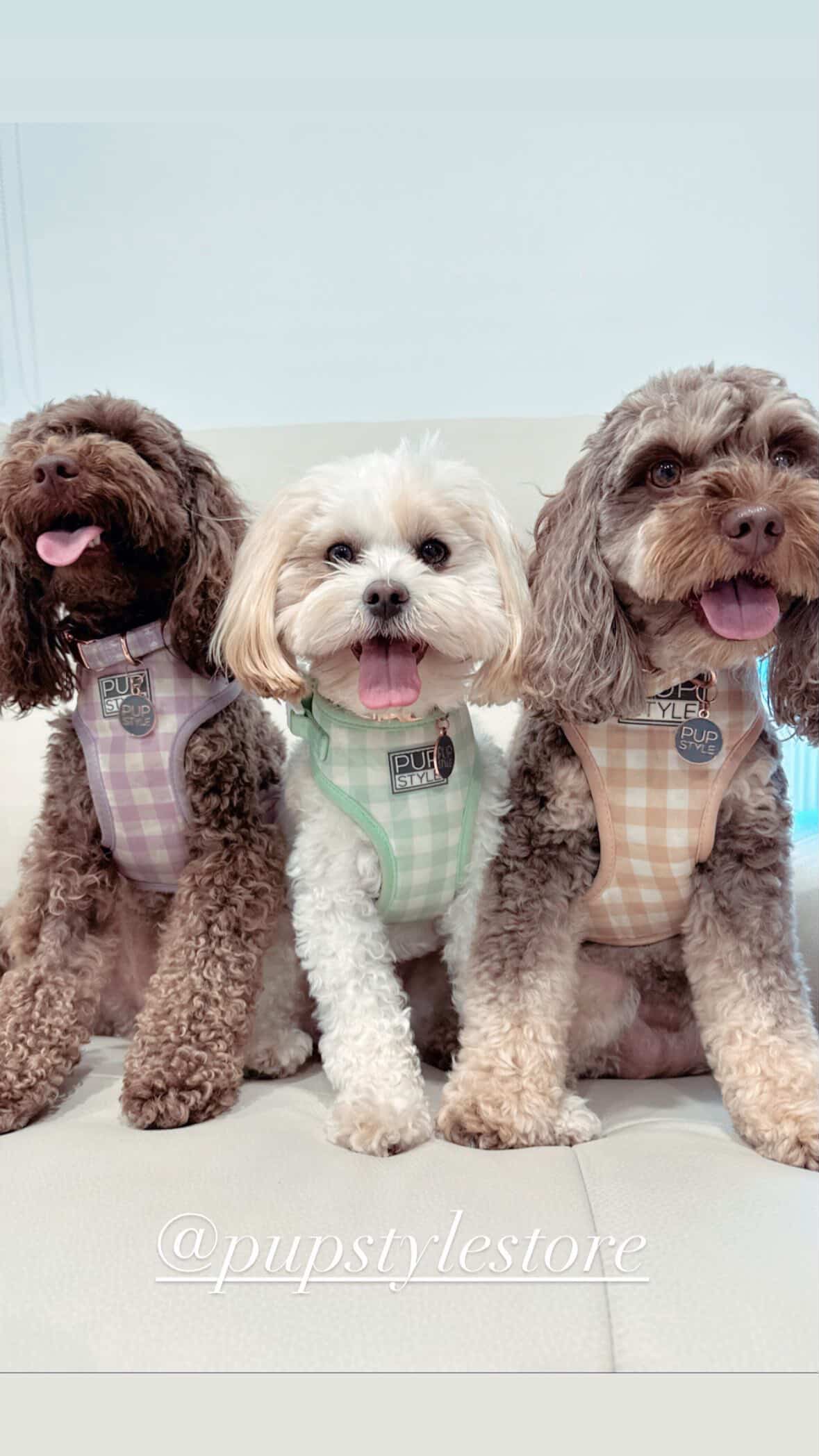 PUPSTYLE Store Facebook ad