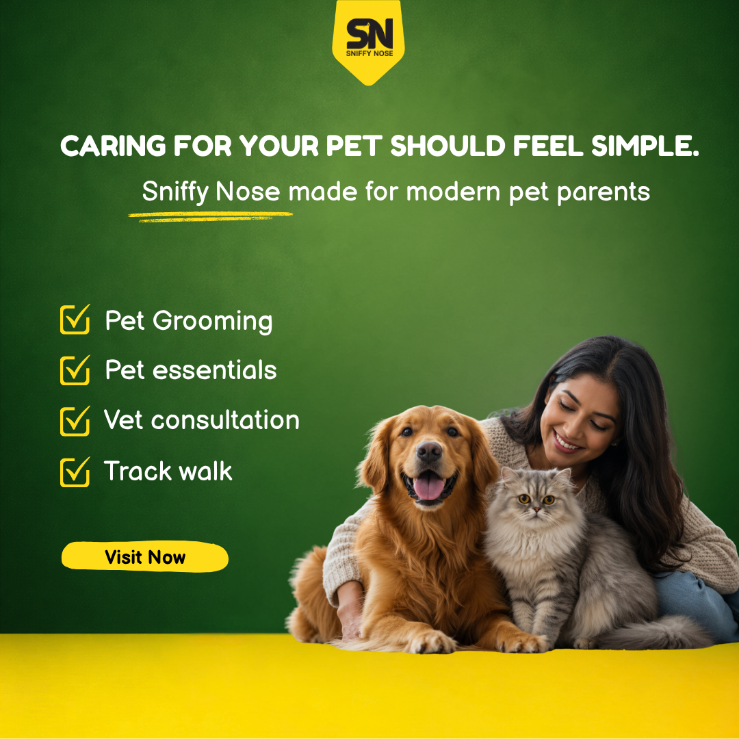 Sniffy Nose Facebook ad