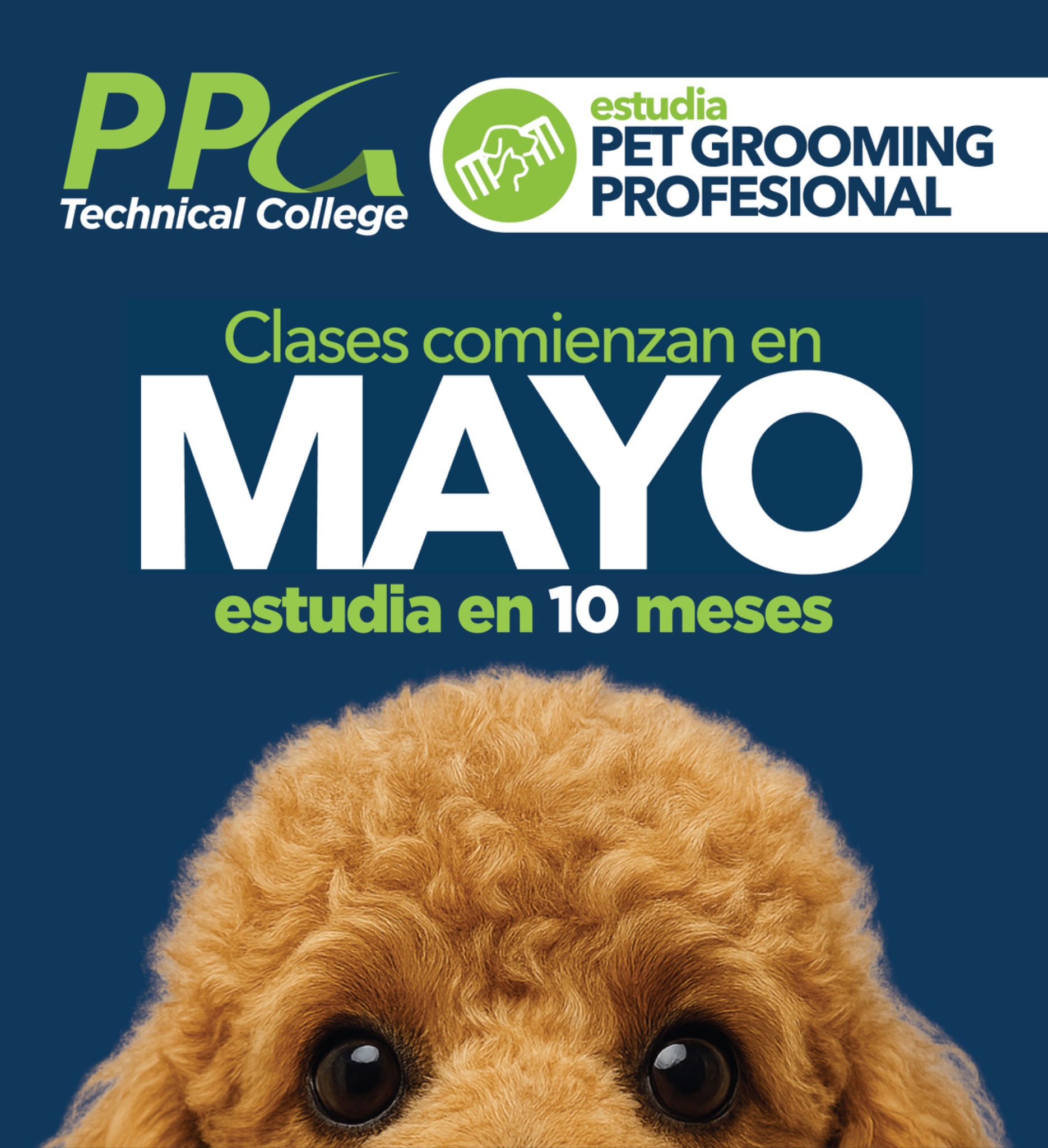 PPG Technical College Facebook ad