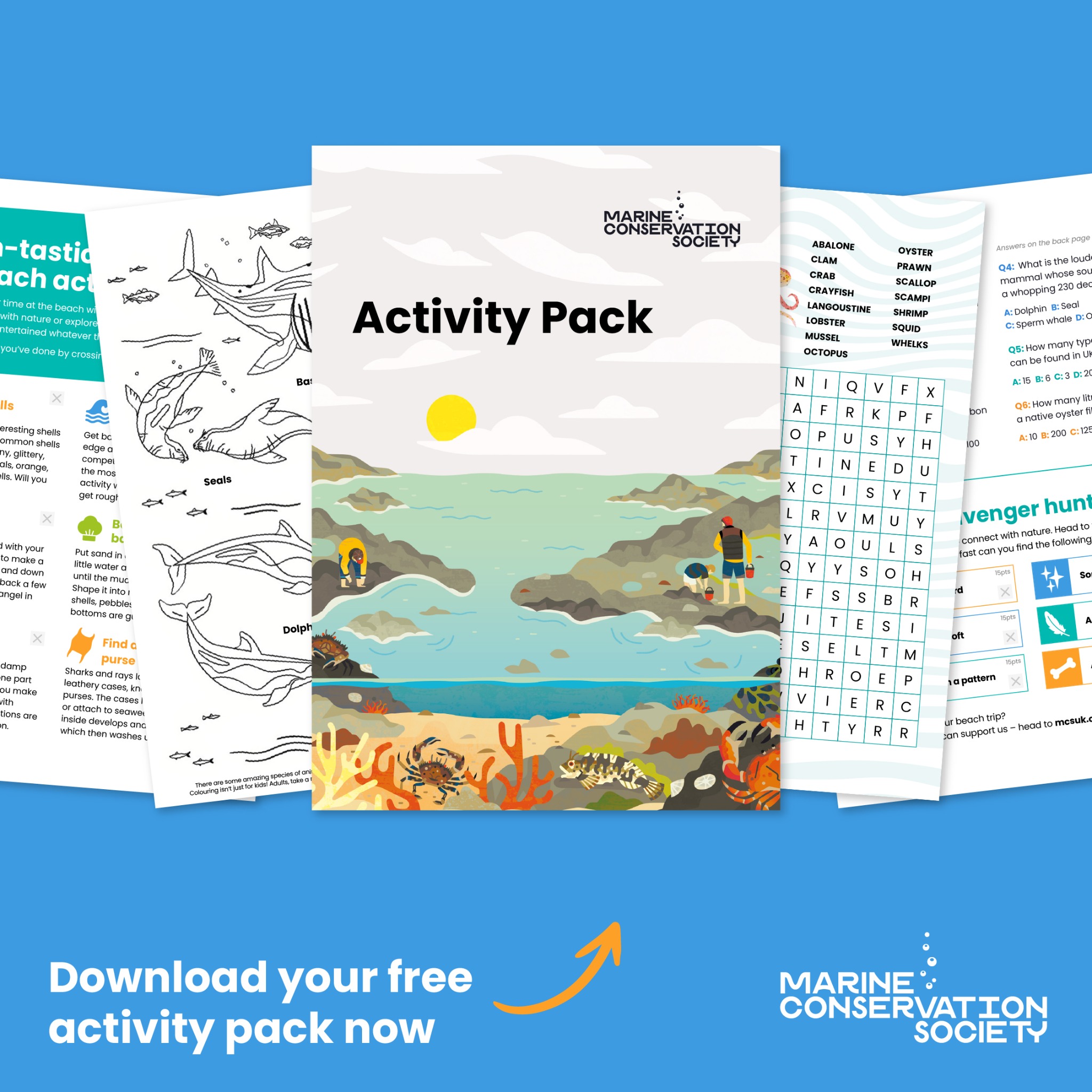 Marine Conservation Society Facebook ad