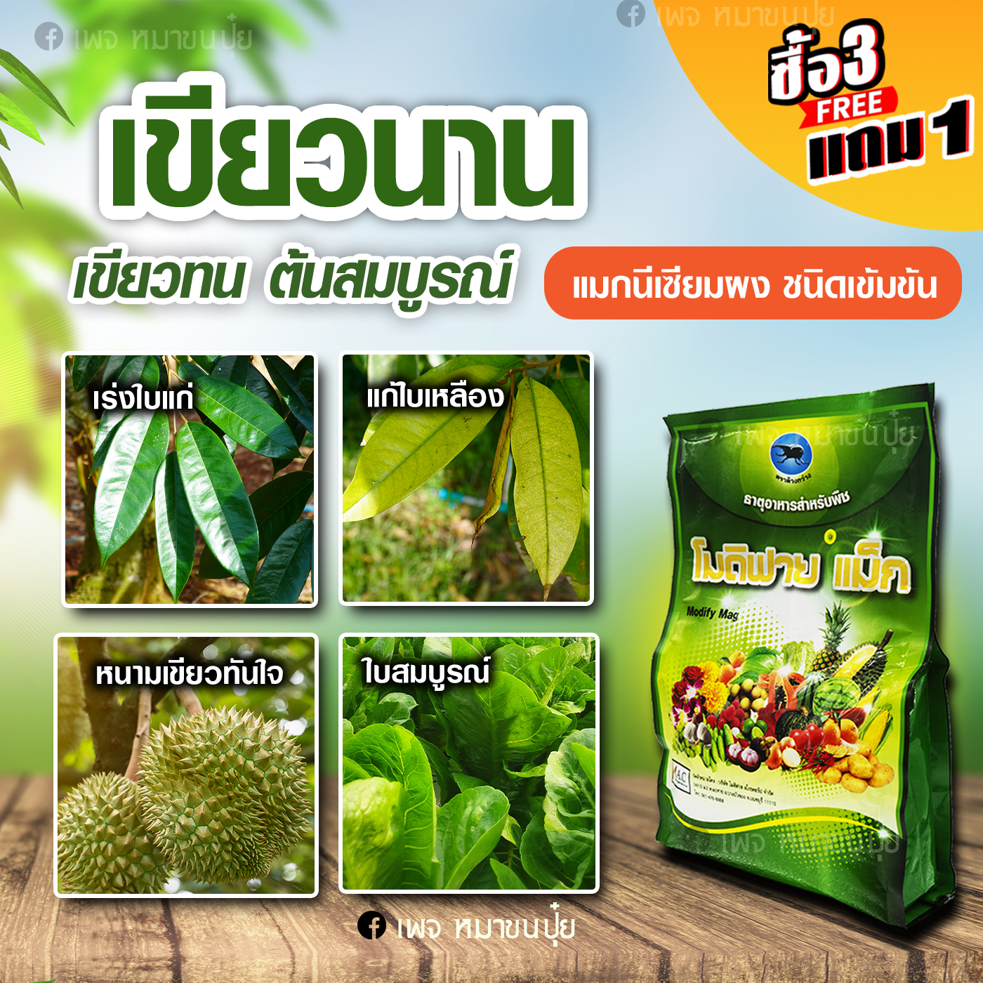 หมาขนปุ๋ย Facebook ad