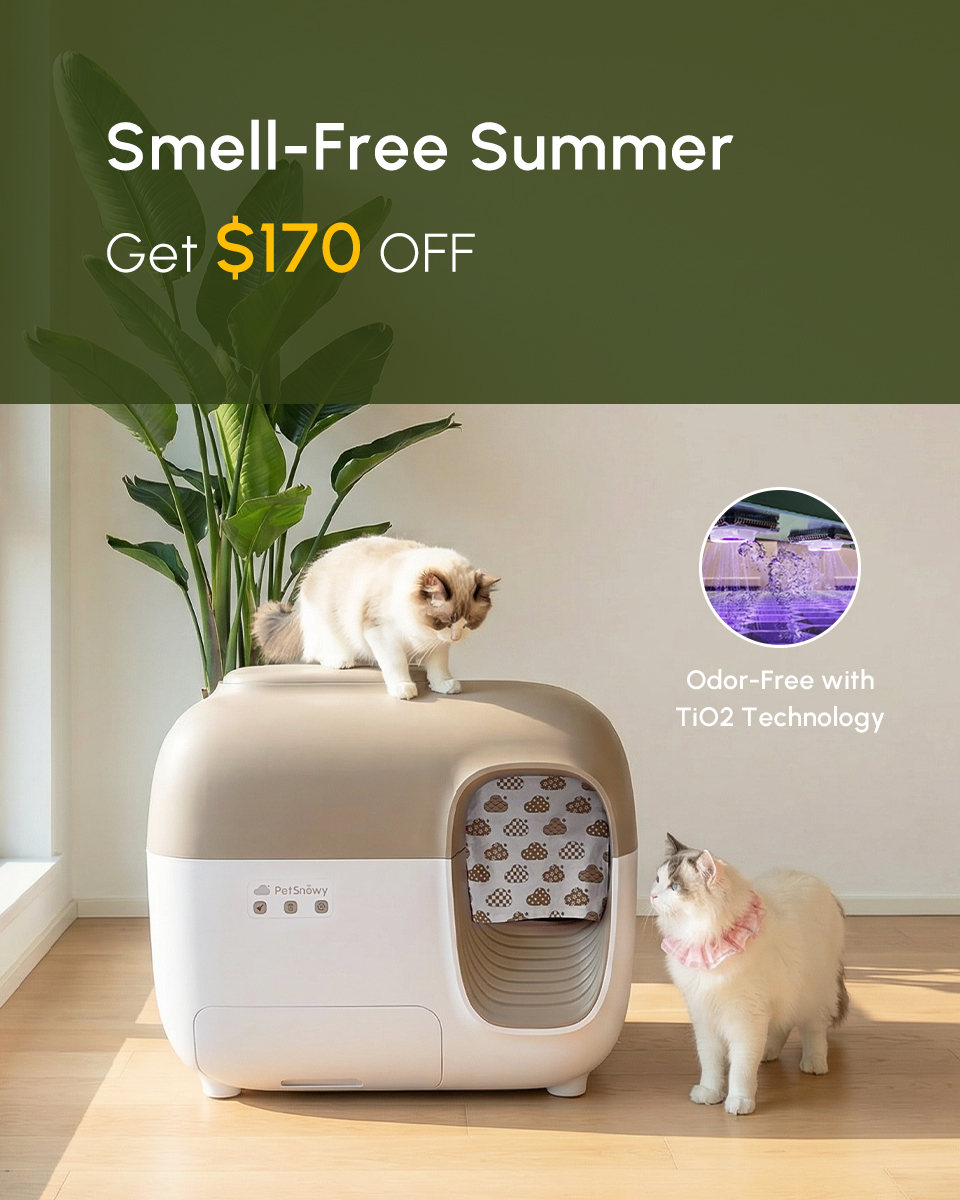 PetSnowy Facebook ad
