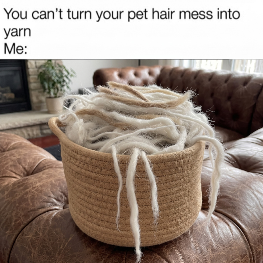 Ella's Pet Diary Facebook ad