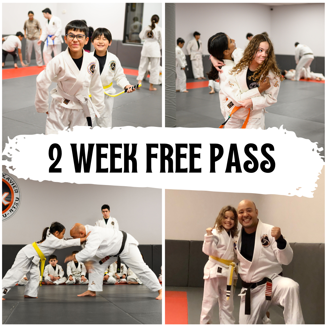 LX Jiu-Jitsu & Self Defense - Sugar Land, TX Facebook ad