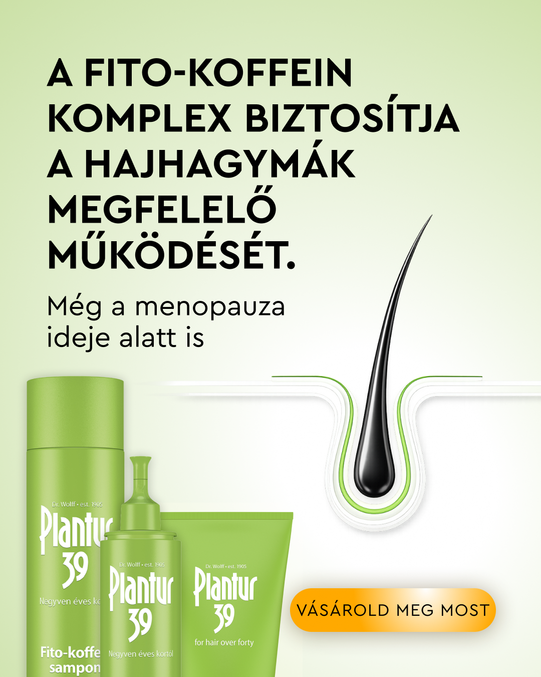 Plantur Facebook ad: Láthatóan erősebb haj 3 hónap alatt