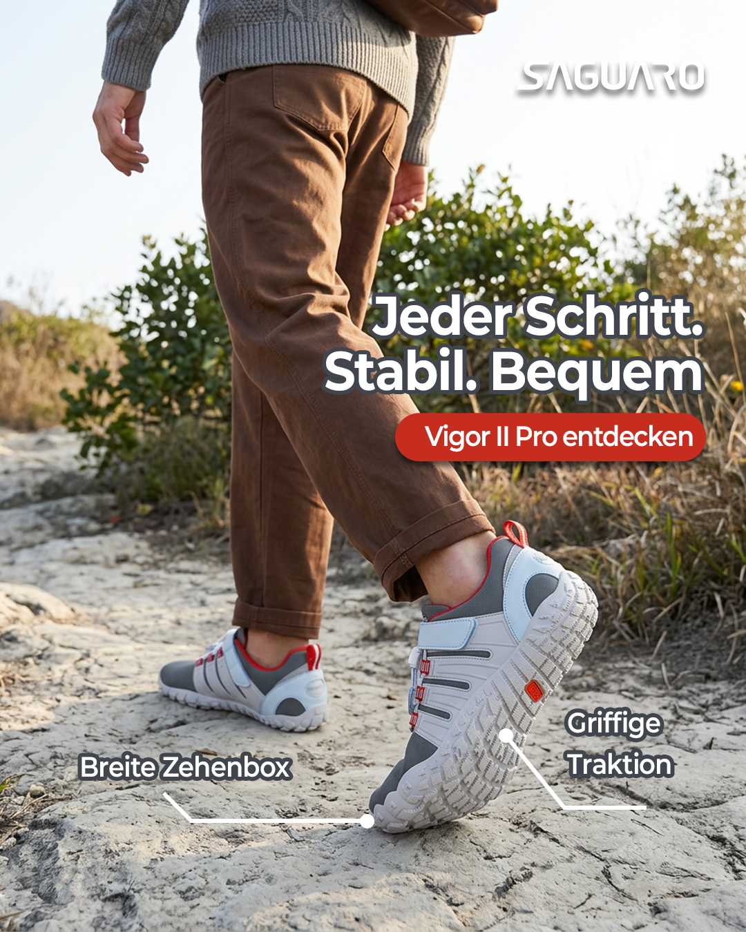 Saguaro De Facebook ad: Stabilität ist Physik. Nicht Gefühl.