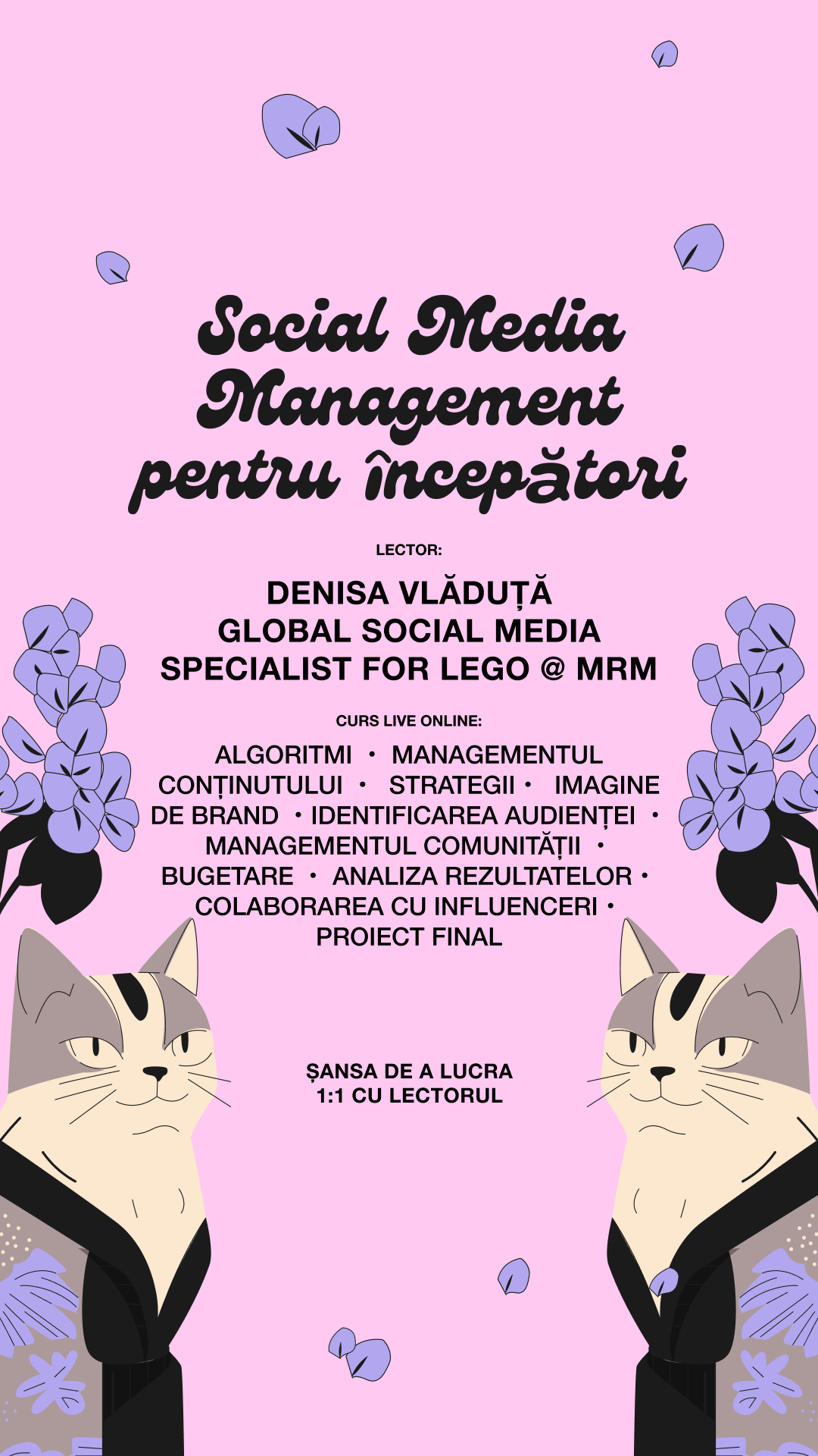 SKVOT Romania Facebook ad