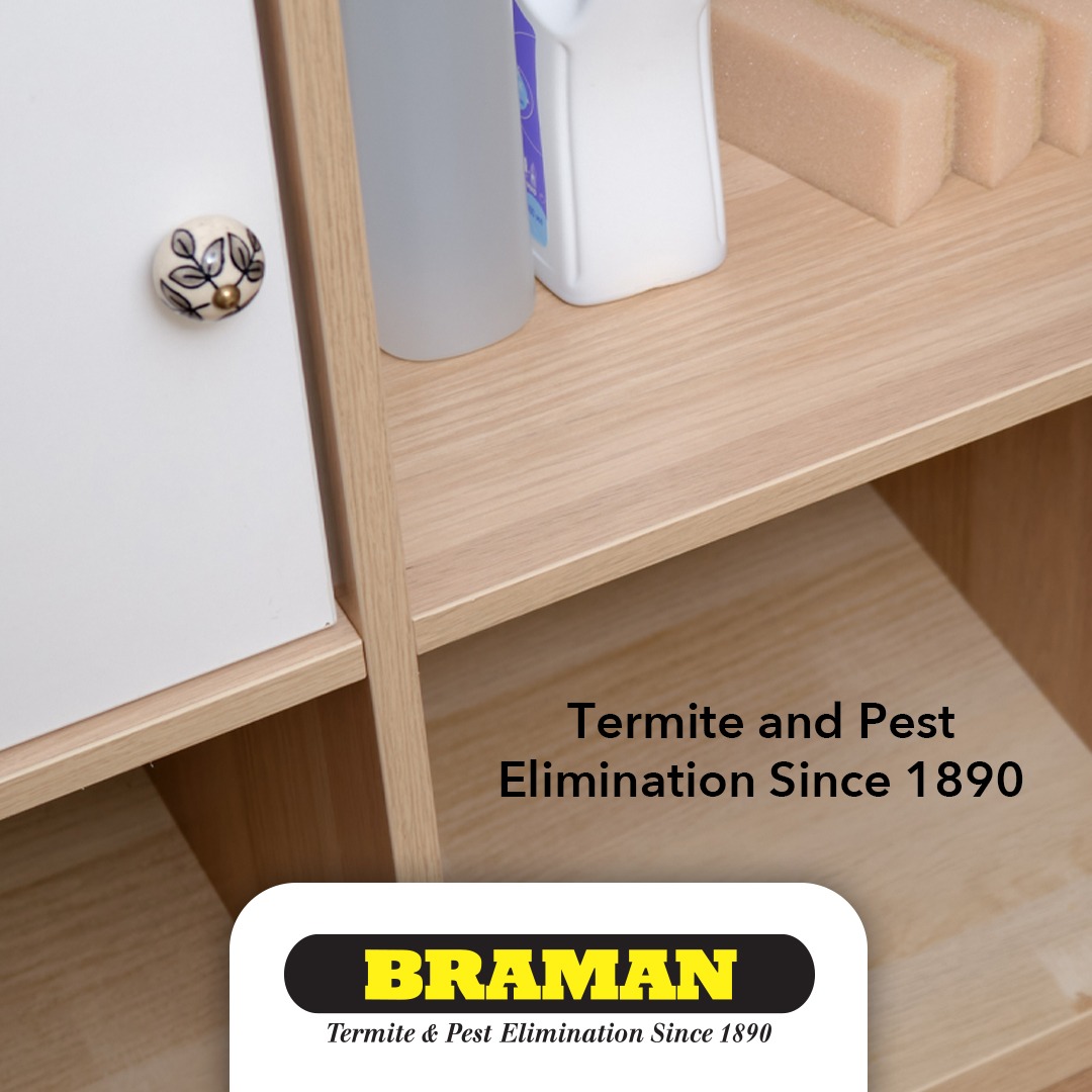 Braman Termite & Pest Elimination Facebook ad: With our effective MultiPest Plan, there’s no question…