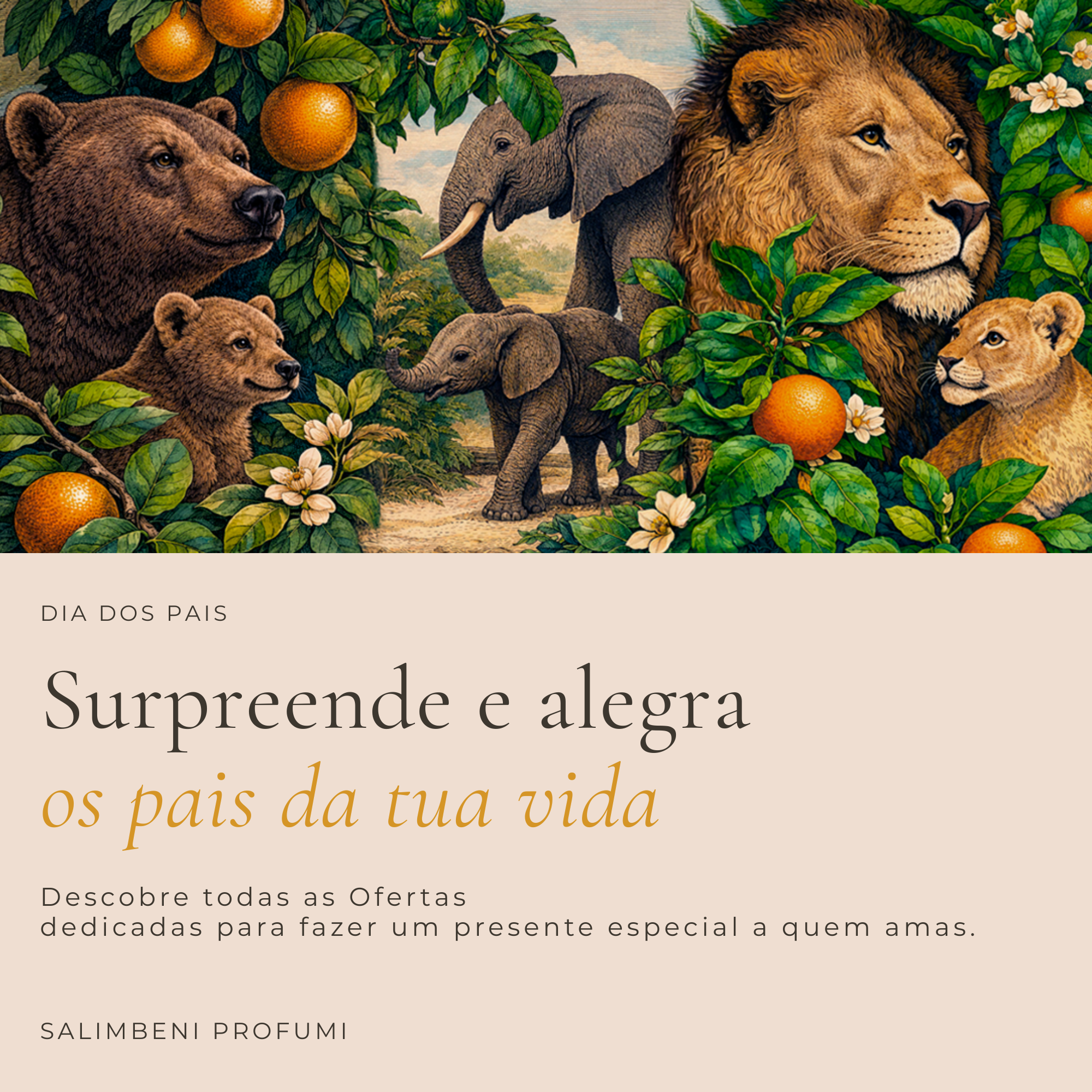 Salimbeni Profumi Facebook ad: Surpreenda e alegra os papás da sua vida…