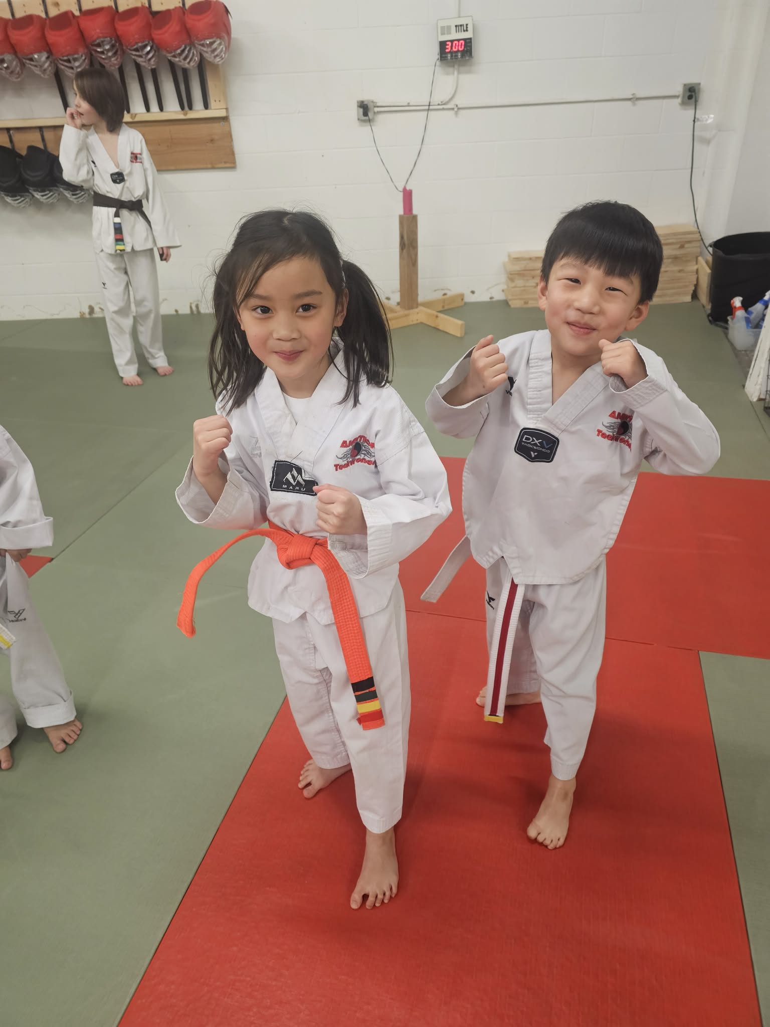 Ambition Taekwondo Facebook ad: Burnsville Area - Free Martial Arts Class