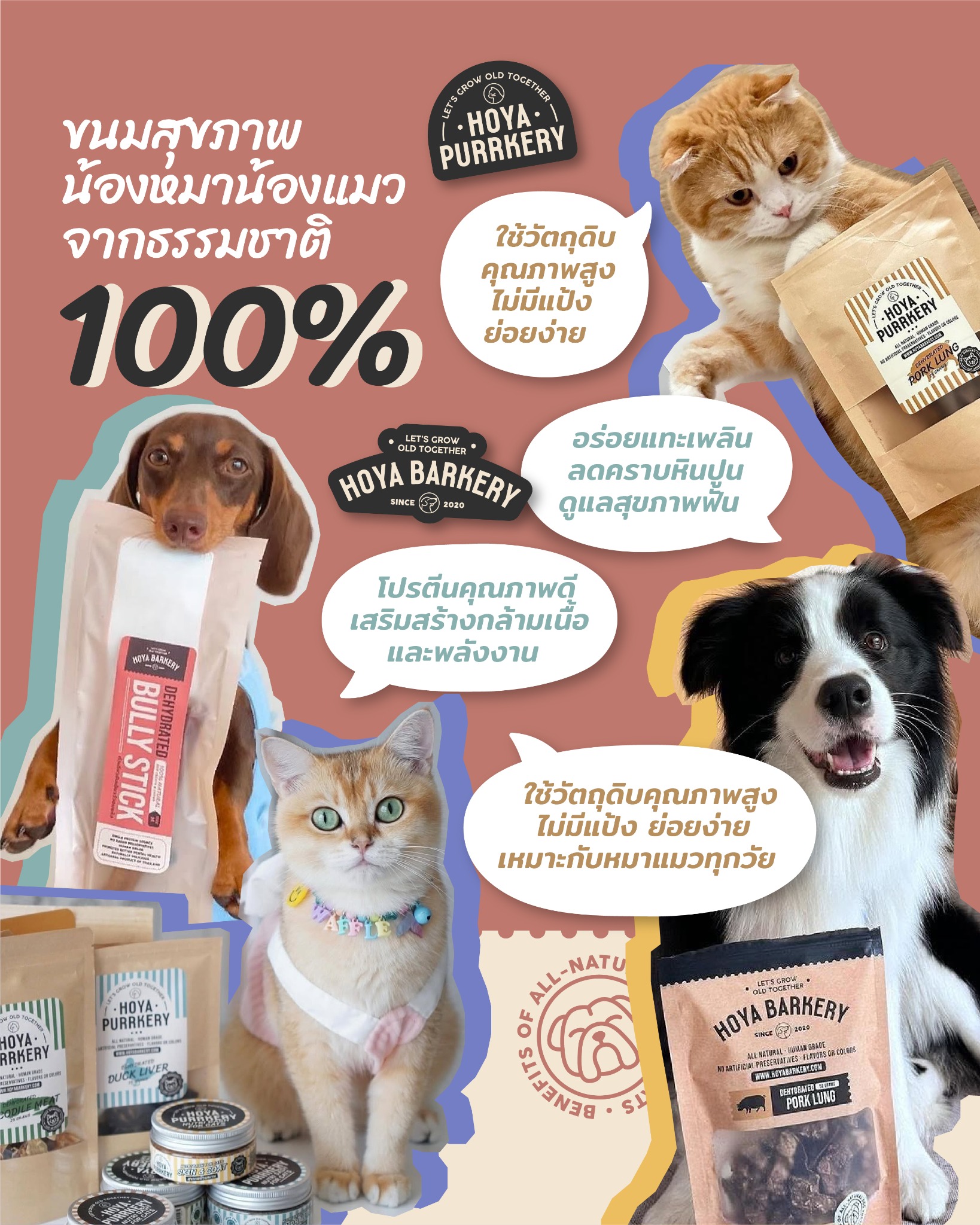 Hoya Barkery Facebook ad