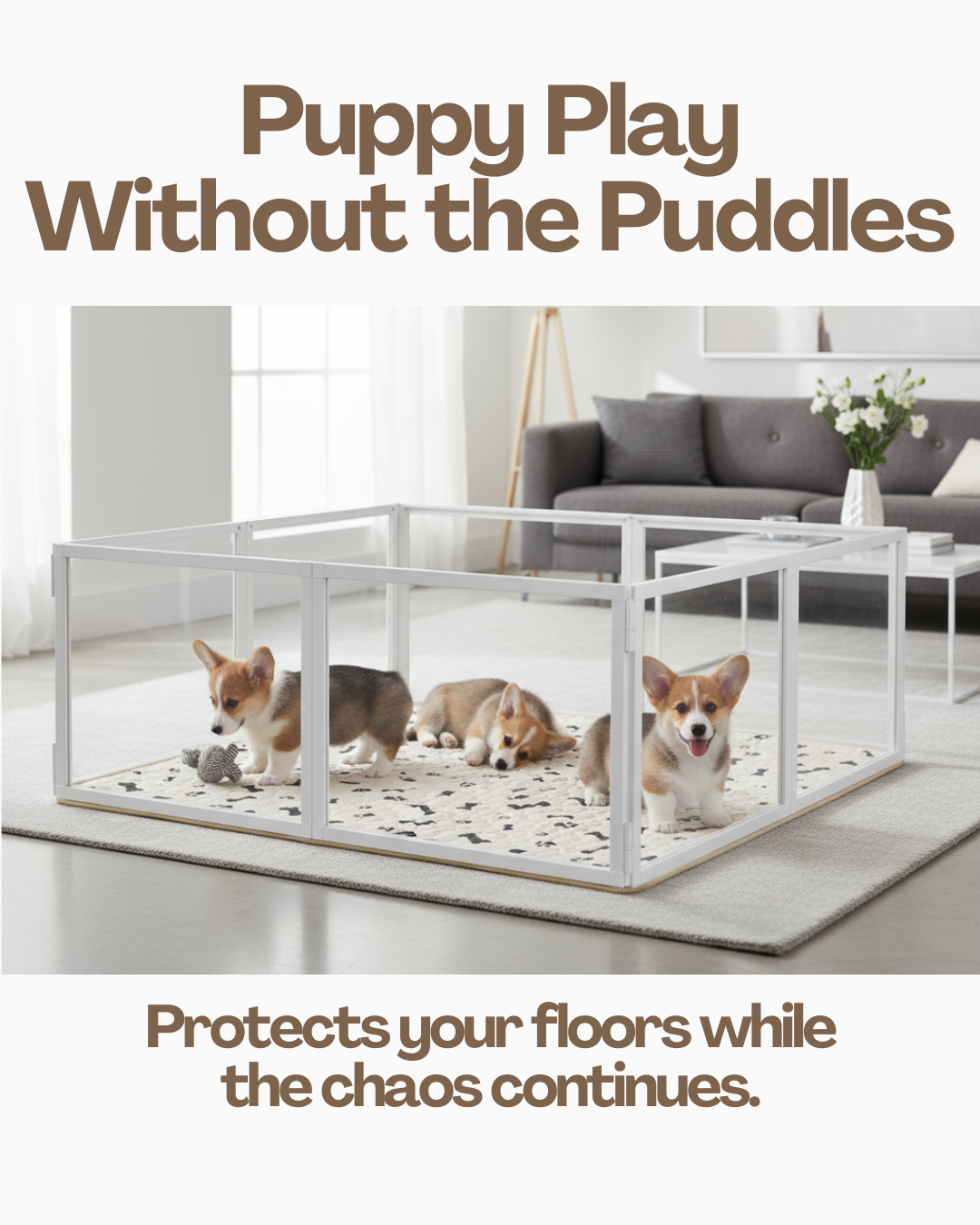 Potty Buddy Facebook ad