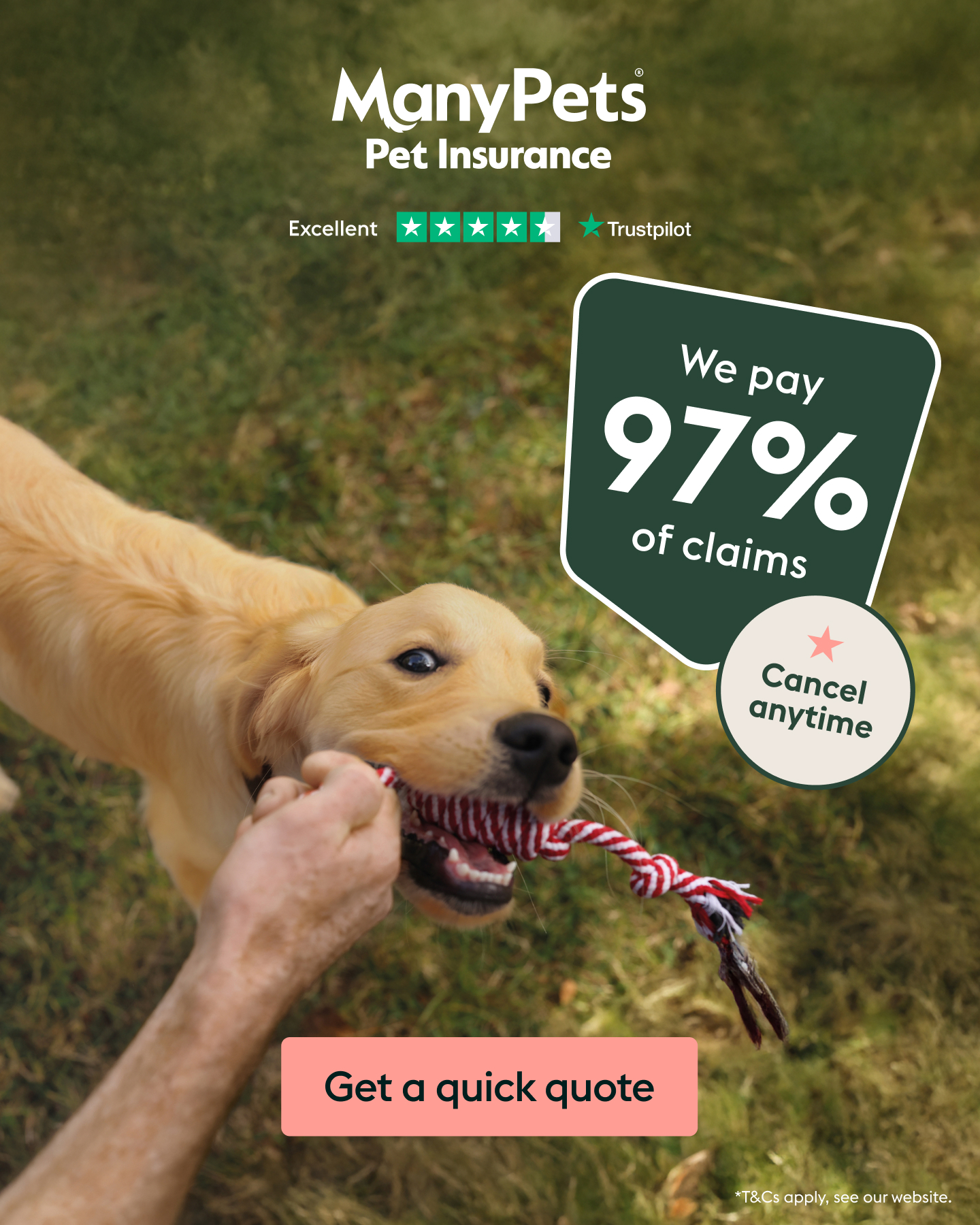 ManyPets UK Facebook ad