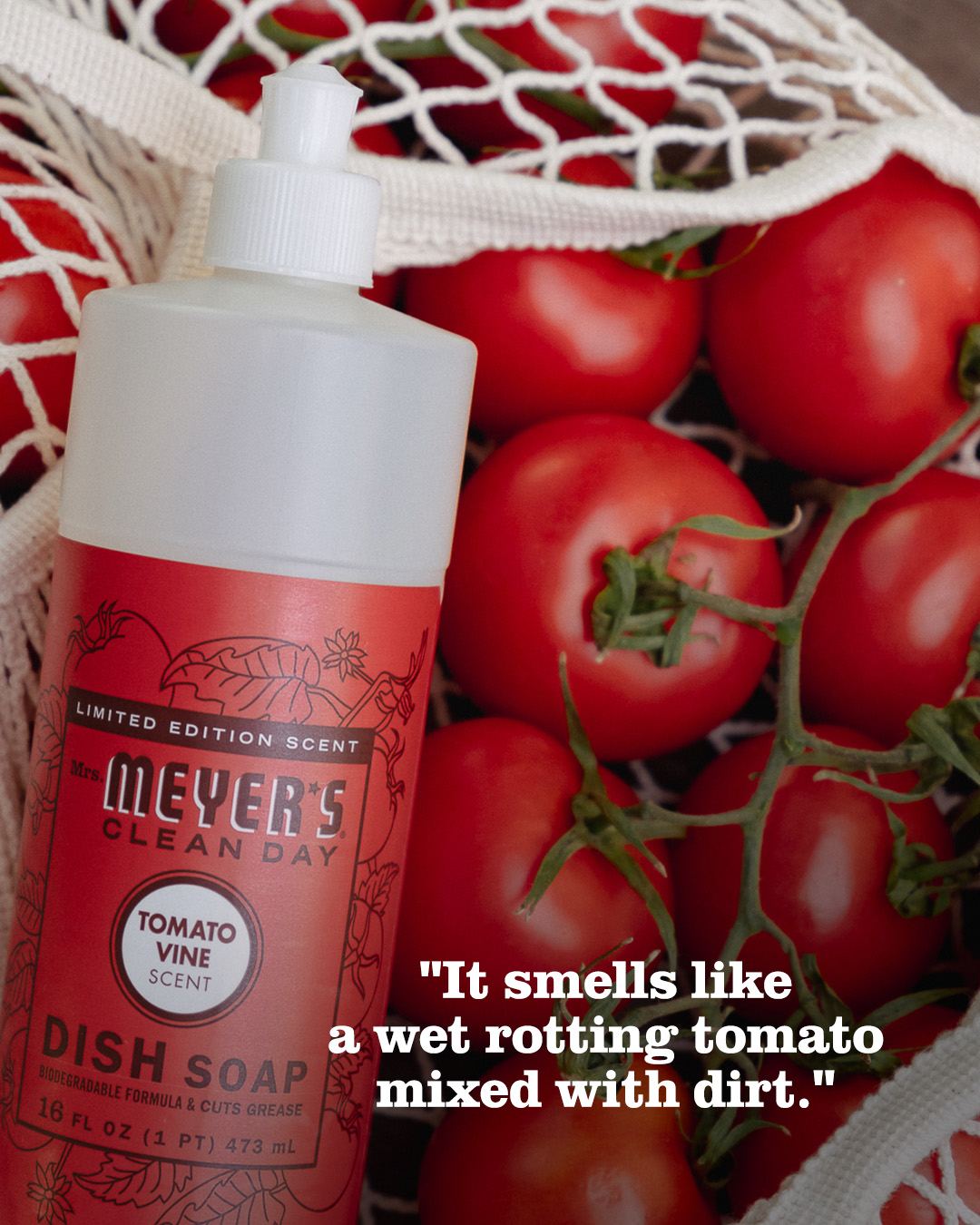 Mrs. Meyer's Clean Day Facebook ad: Tomato, tomahto