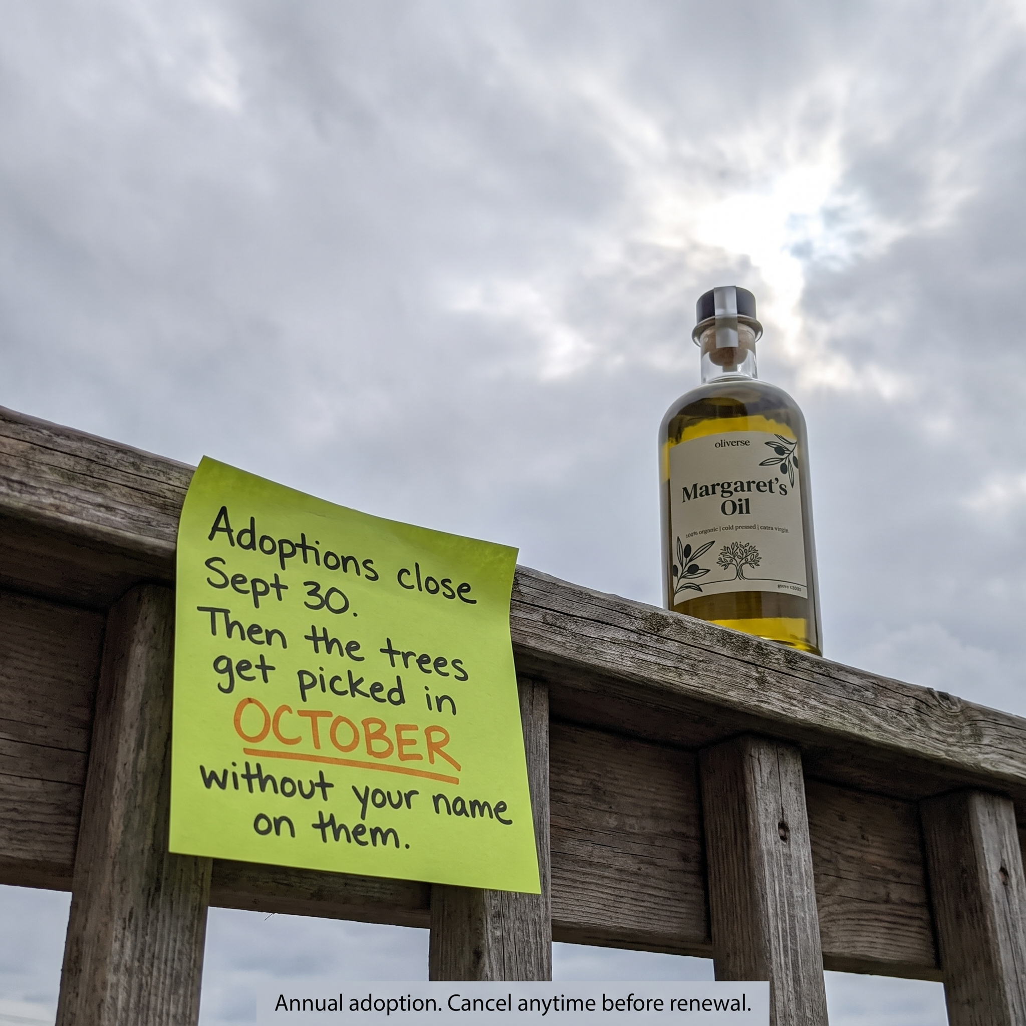 Oliverse Facebook ad: Adopt a Tree. Taste La Dolce Vita.