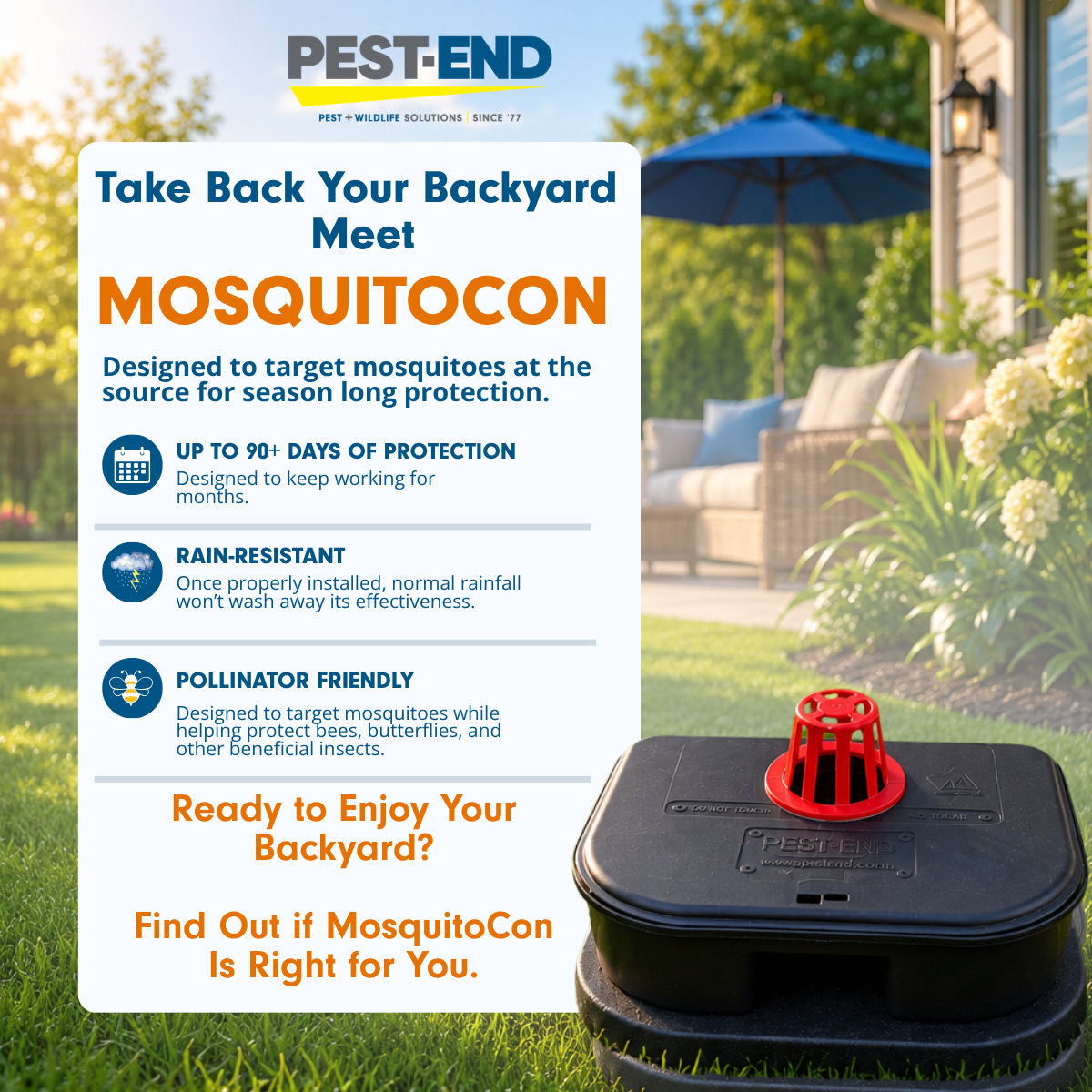 Pest-End Facebook ad