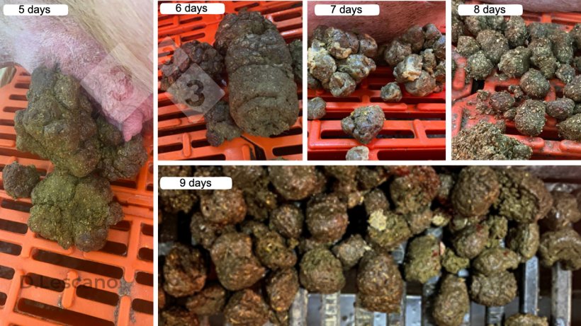 Dr. Amanda Wilson - Gastroenterologist Facebook ad: Kiss Goodbye to 10 lb of Poop Stuck Inside You