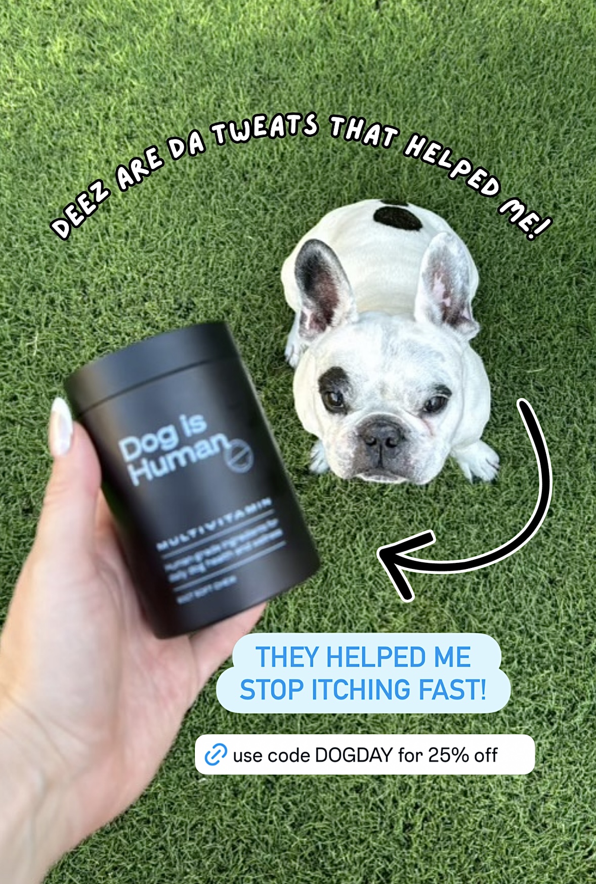 Dog is Human Facebook ad