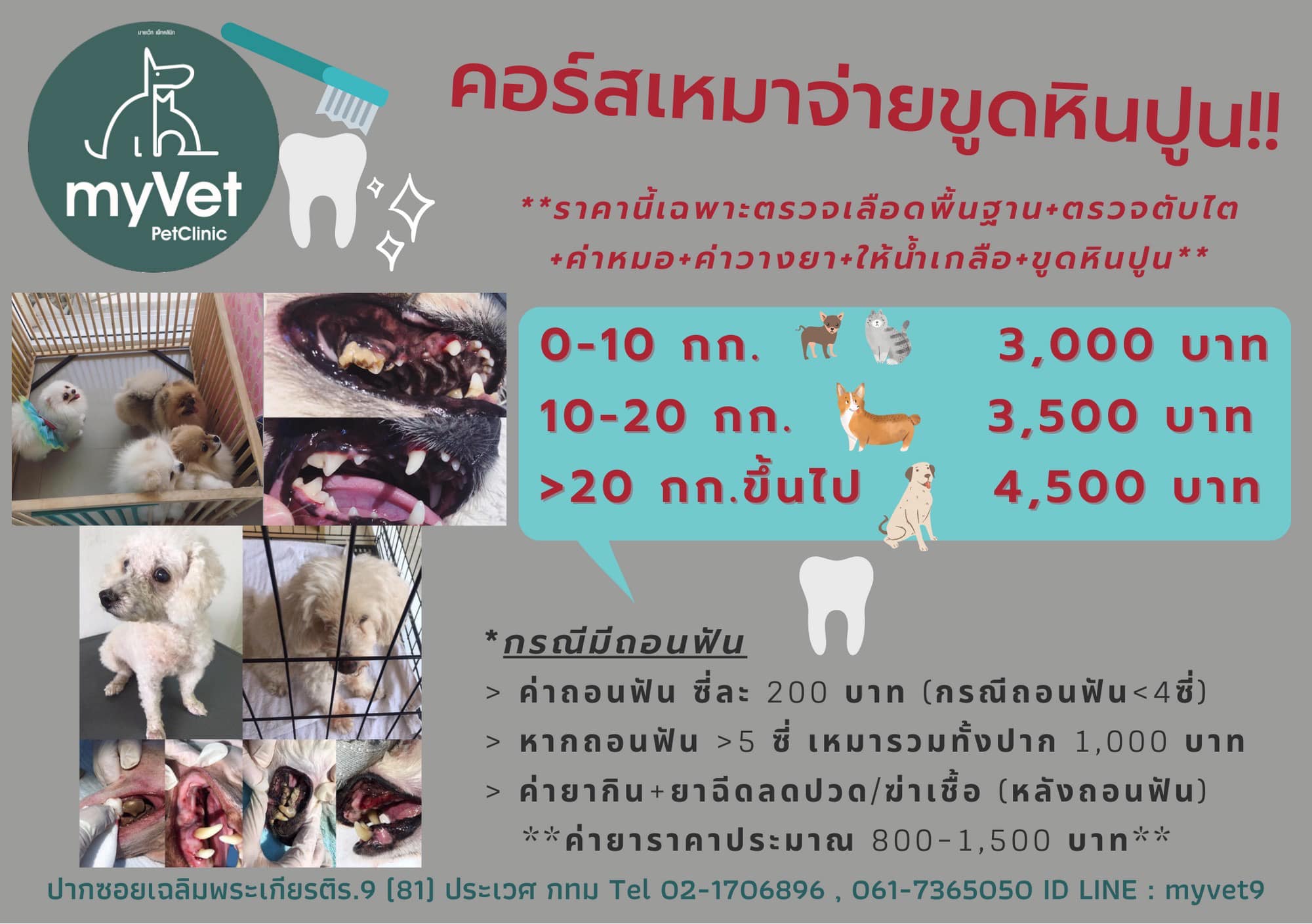 MyVet Petclinic คลินิกรักษาสัตว์ ทำฟันขูดหินปูน ทำหมัน ประเวศ กทม Facebook ad