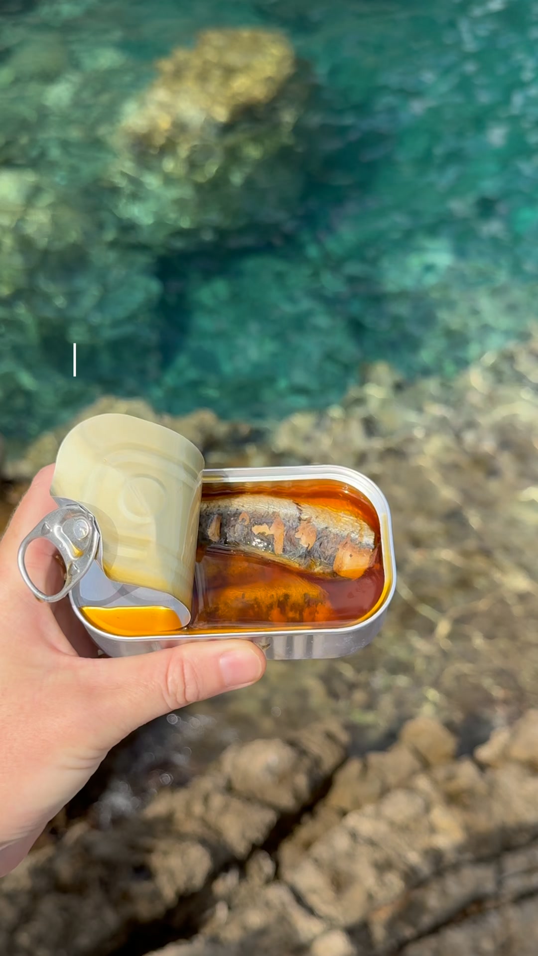 The Stock Merchant Facebook ad: Not your average tin of fish.