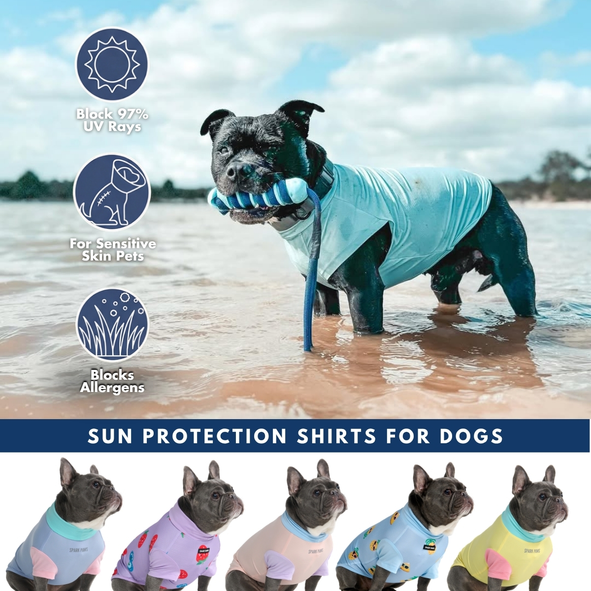 Spark Paws Facebook ad