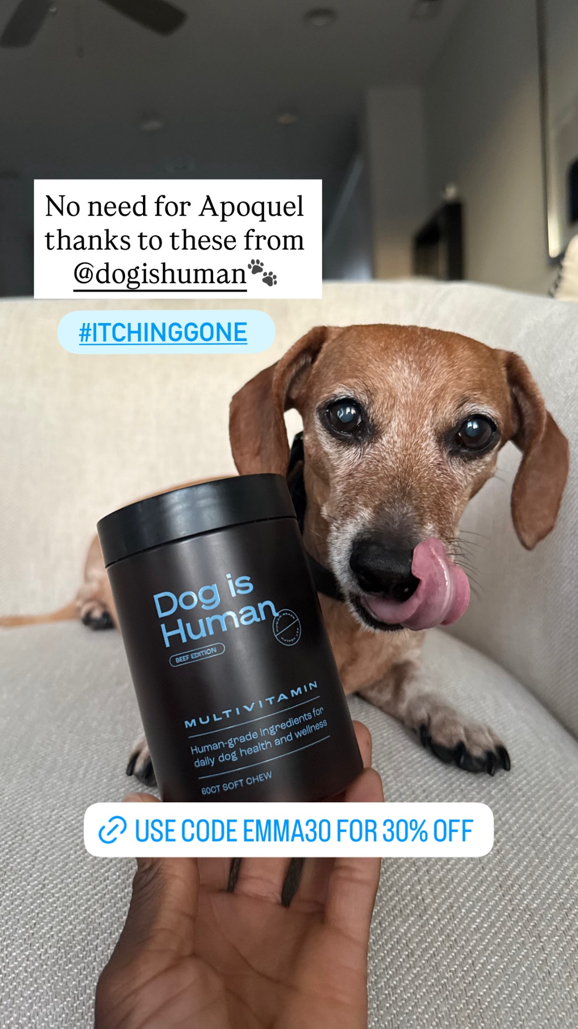Weenie Hut Emma Facebook ad: Daily Dog Multivitamin, Real Results