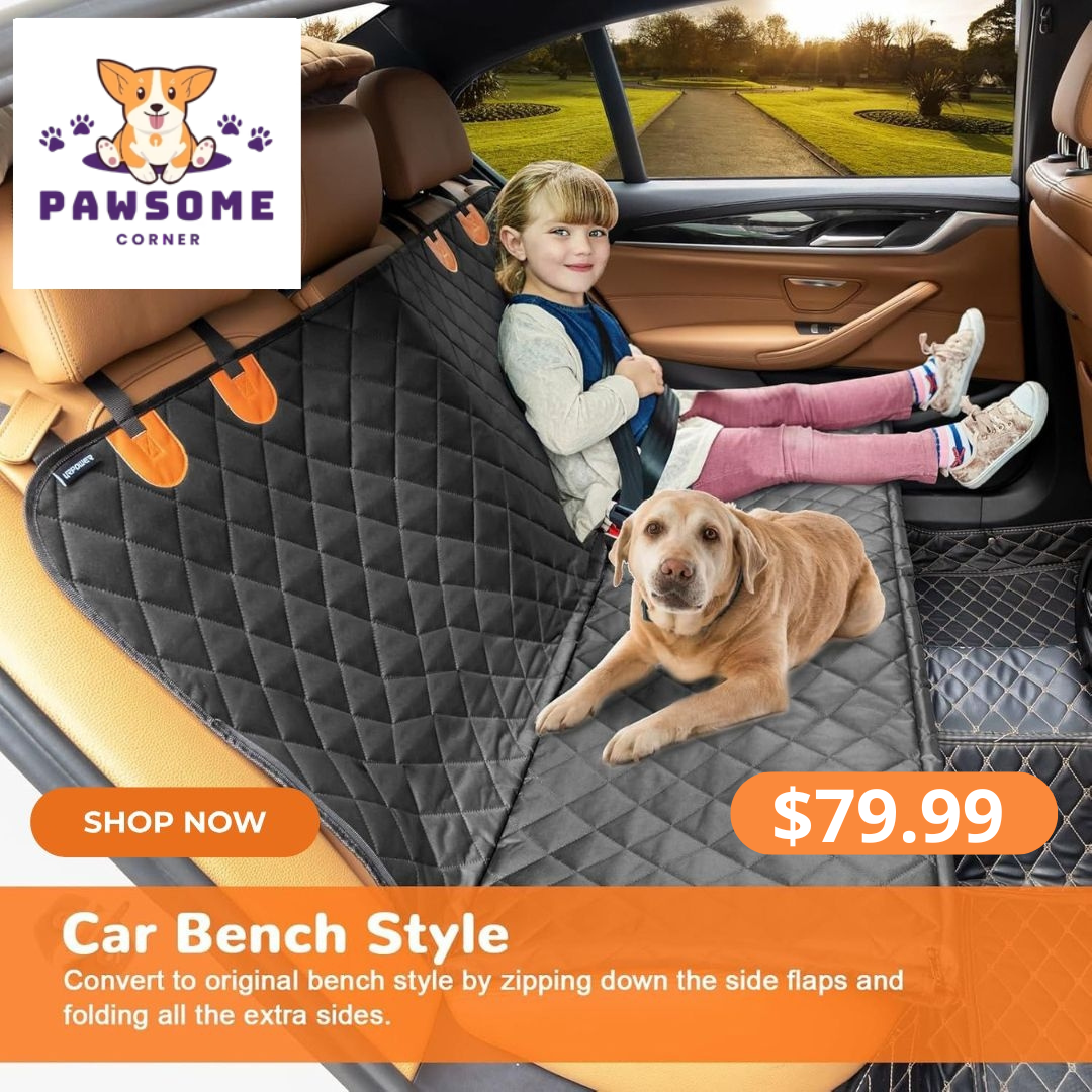 Paw Some Corner Facebook ad: FREE DOG BED +FREE BELT