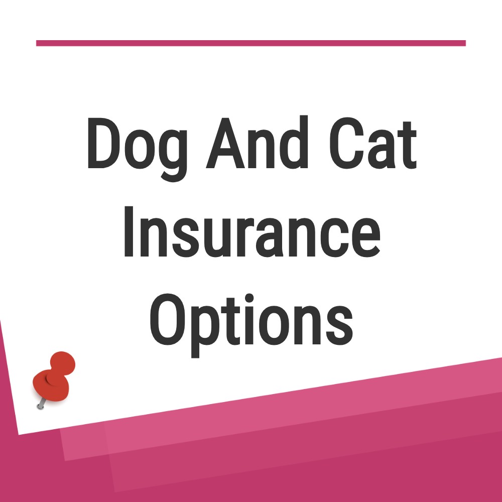 QuickNewFinds Picks Facebook ad: Dog And Cat Insurance Options