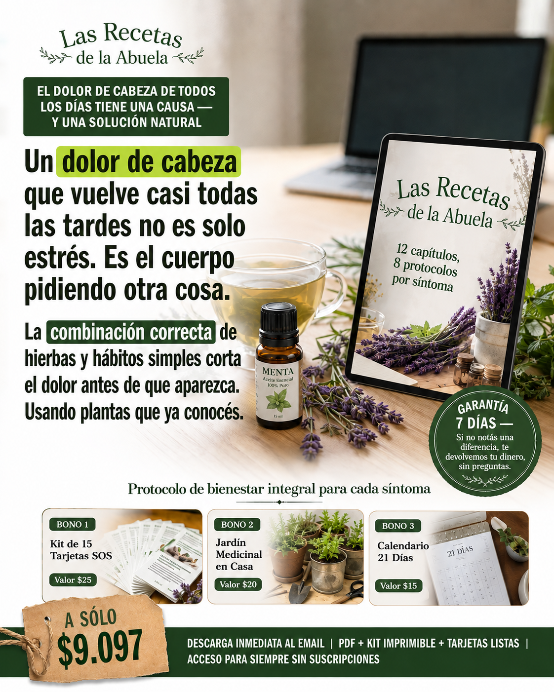 Bienestar Consciente Facebook ad: Las Recetas de la Abuela, $9.097