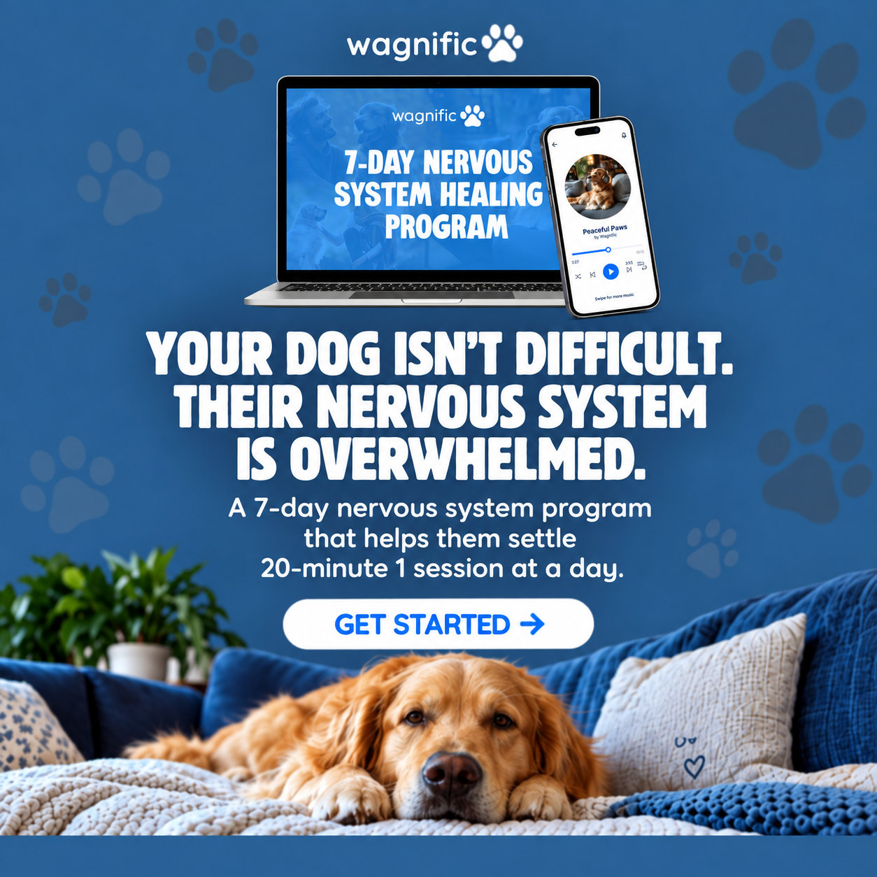 Wagnific Facebook ad