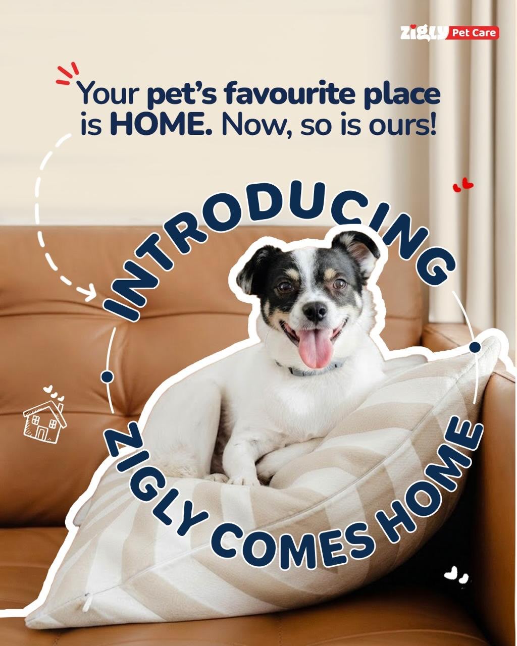 Zigly Facebook ad