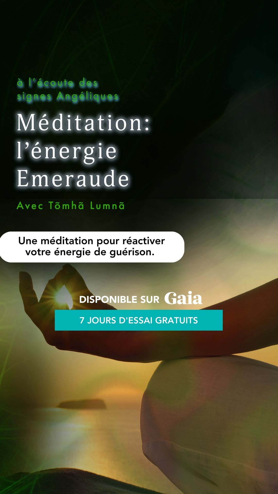 Nous Sommes Gaia Facebook ad