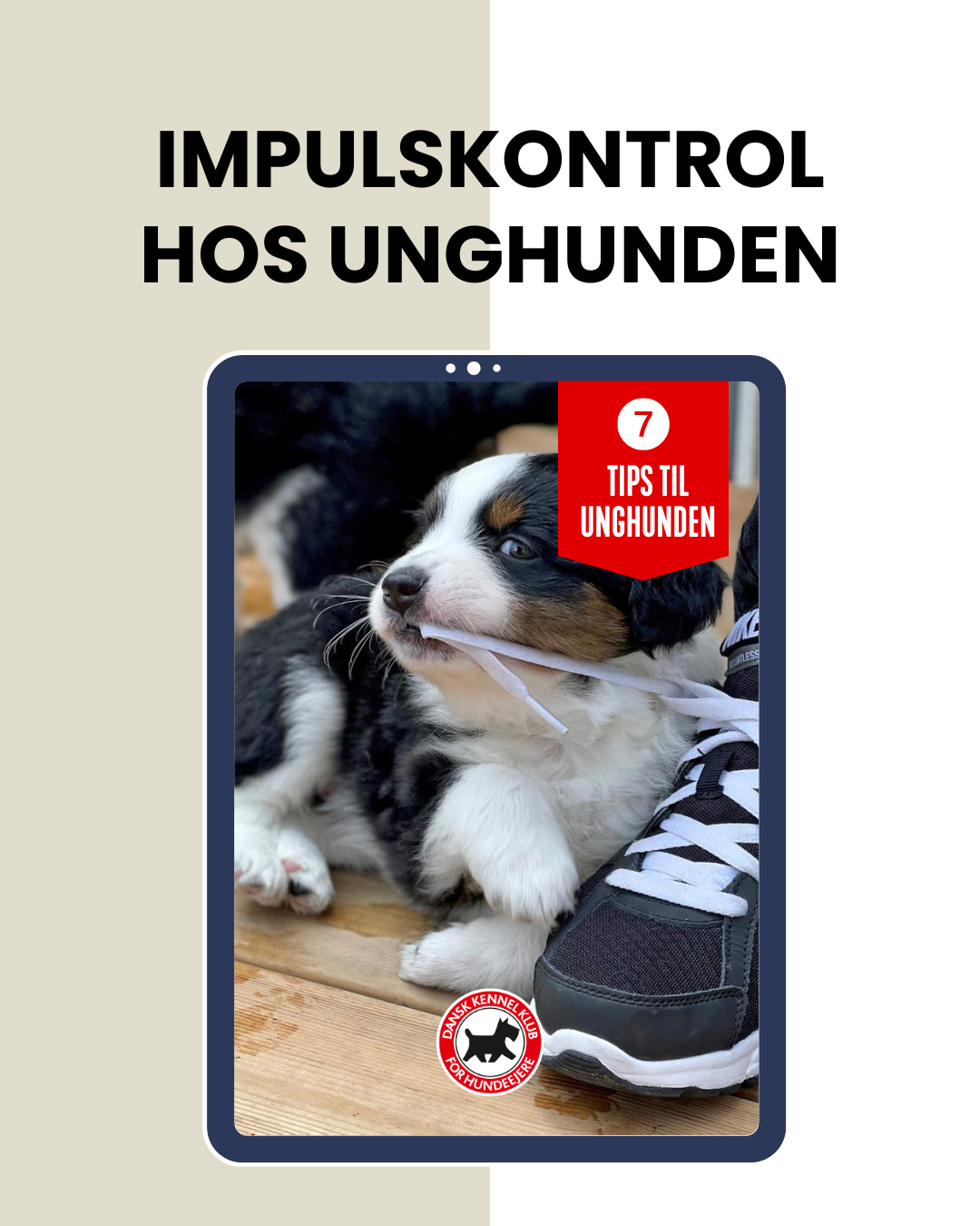 Dansk Kennel Klub Facebook ad: Gratis: Få 7 gode øvelser til din unghund