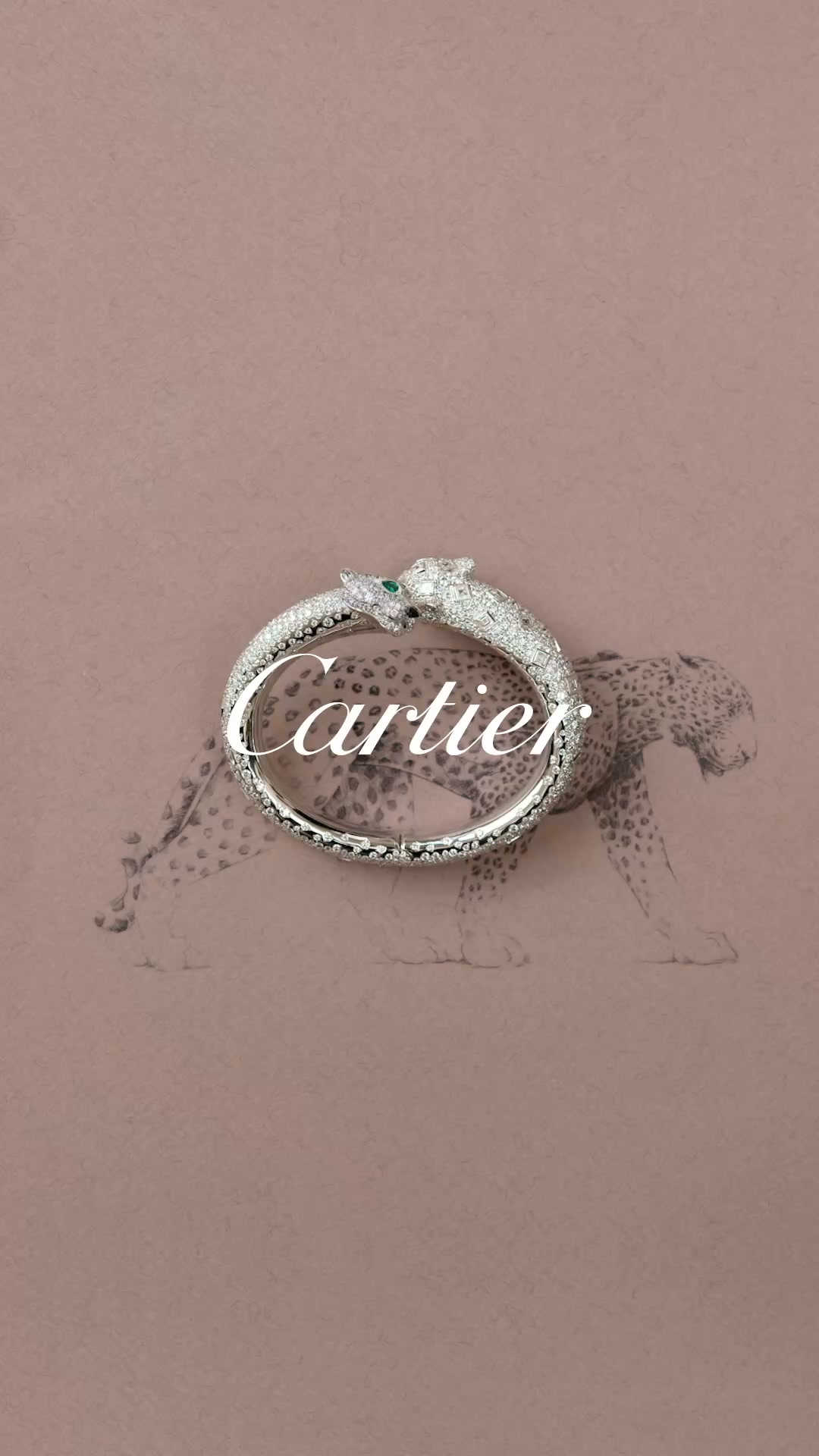 Cartier Facebook ad: Dessa stiliserade och karaktäristiska huvuden var en…