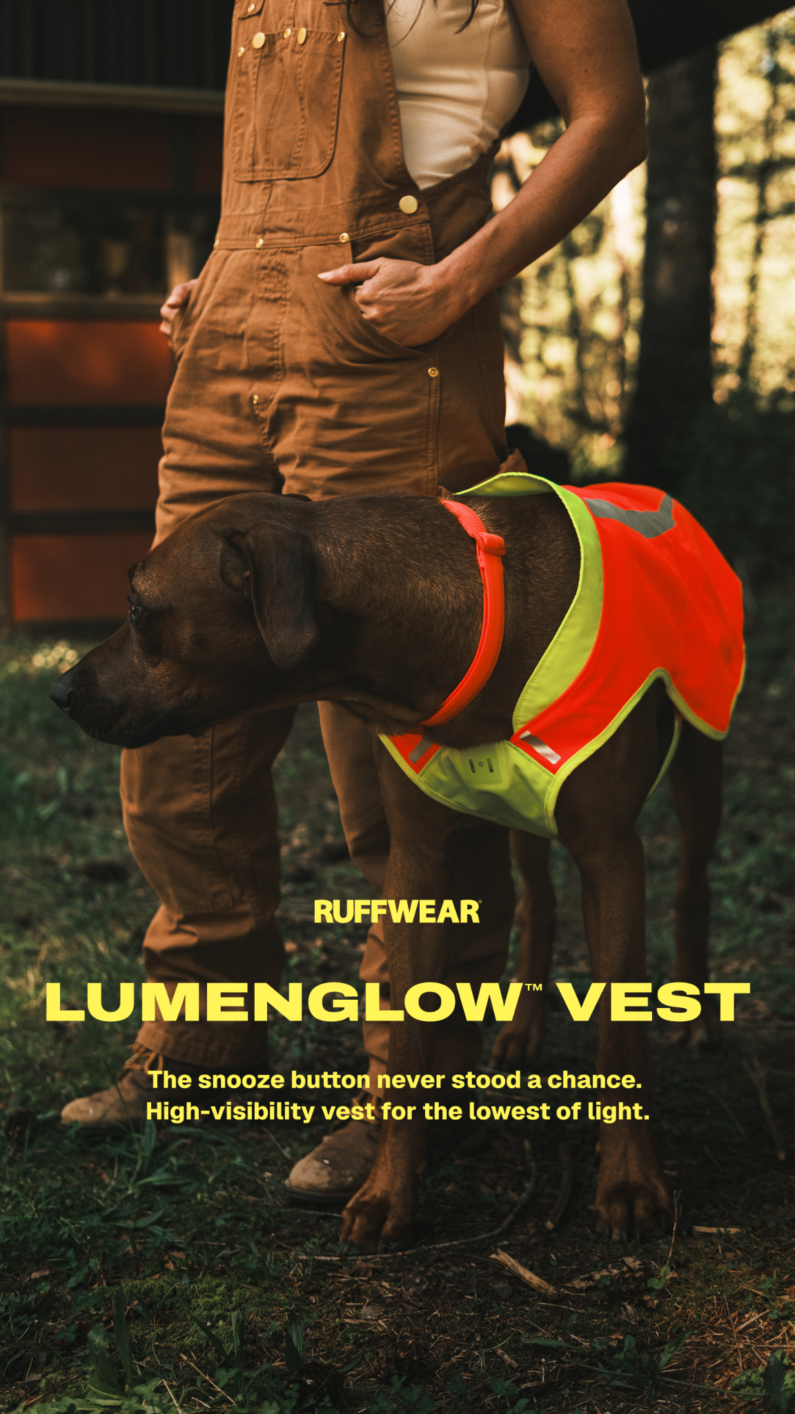 Ruffwear Facebook ad