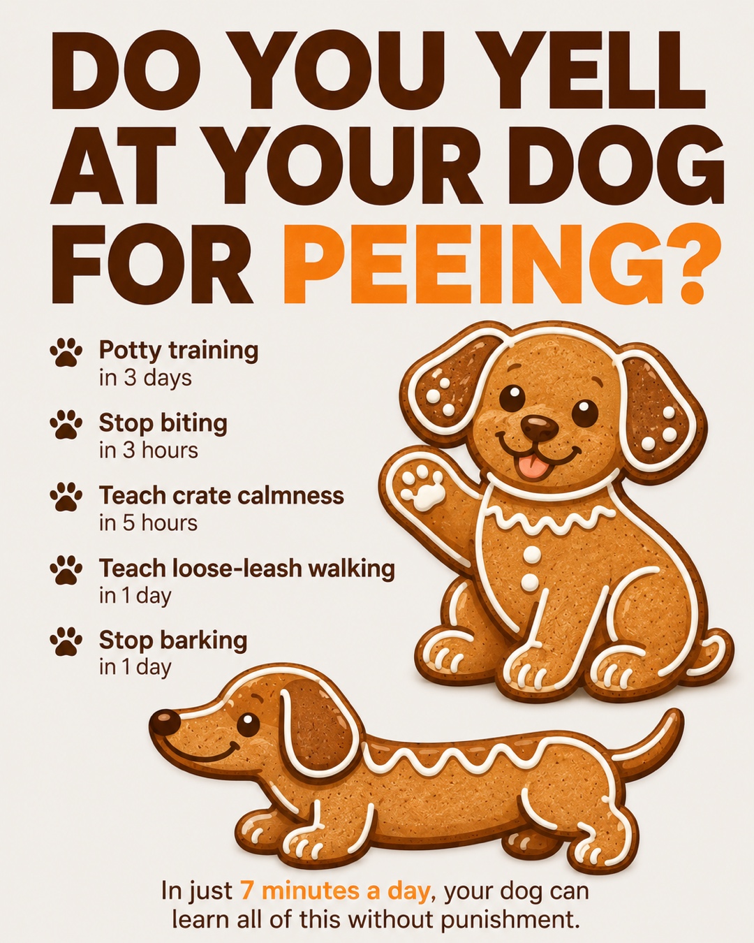 Ben Your Puppy Trainer Facebook ad