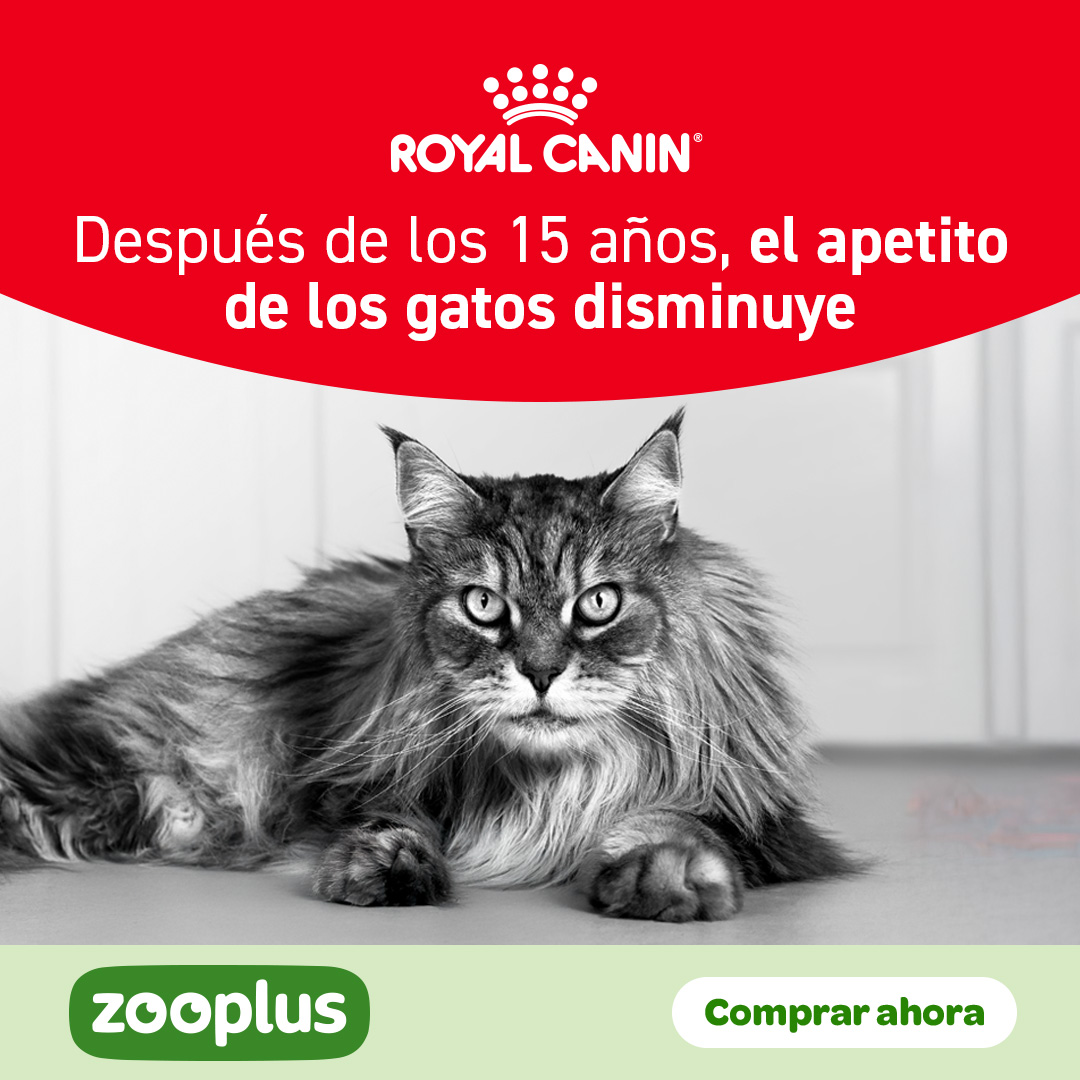 zooplus Facebook ad: La gama Royal Canin Healthy Ageing ofrece a…