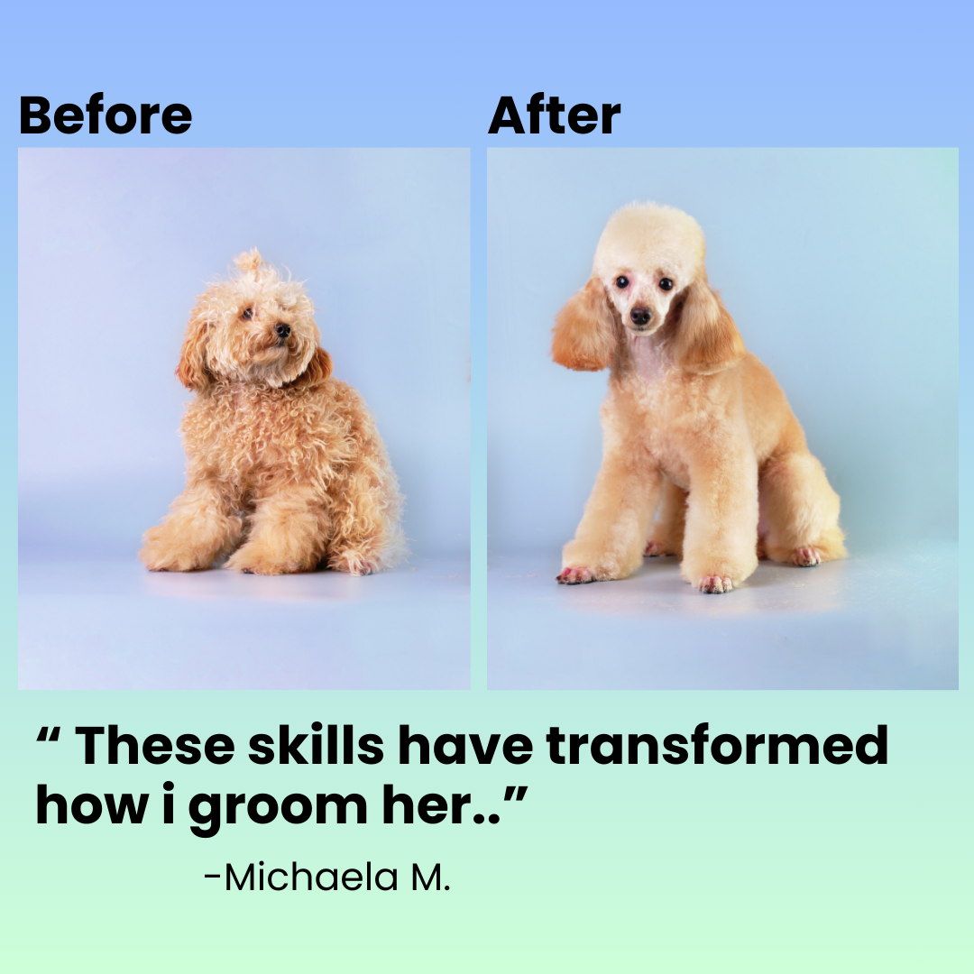 Shelley The Dog Groomer Facebook ad