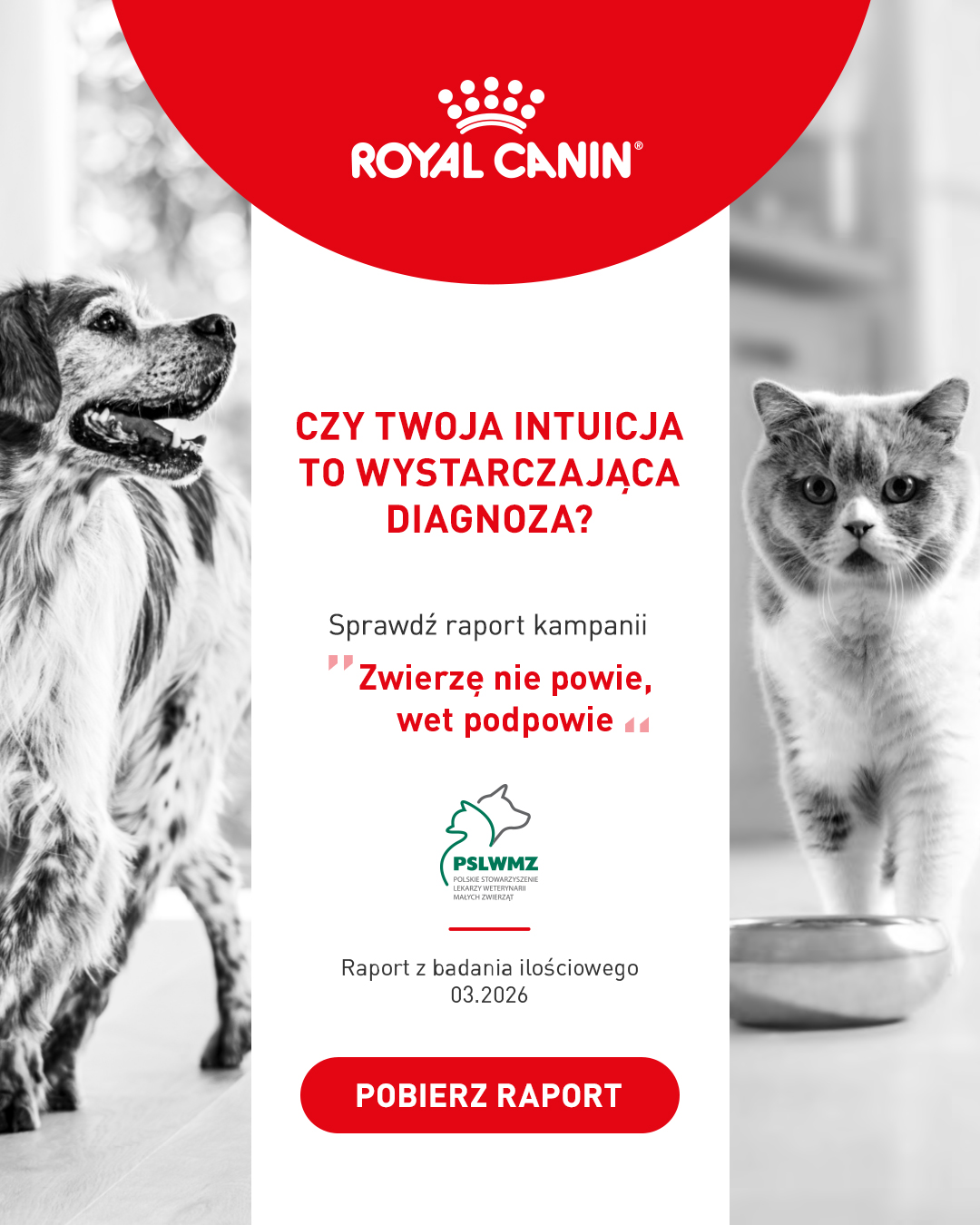 Royal Canin Facebook ad: Czy na pewno wiesz, co czuje Twój pies…